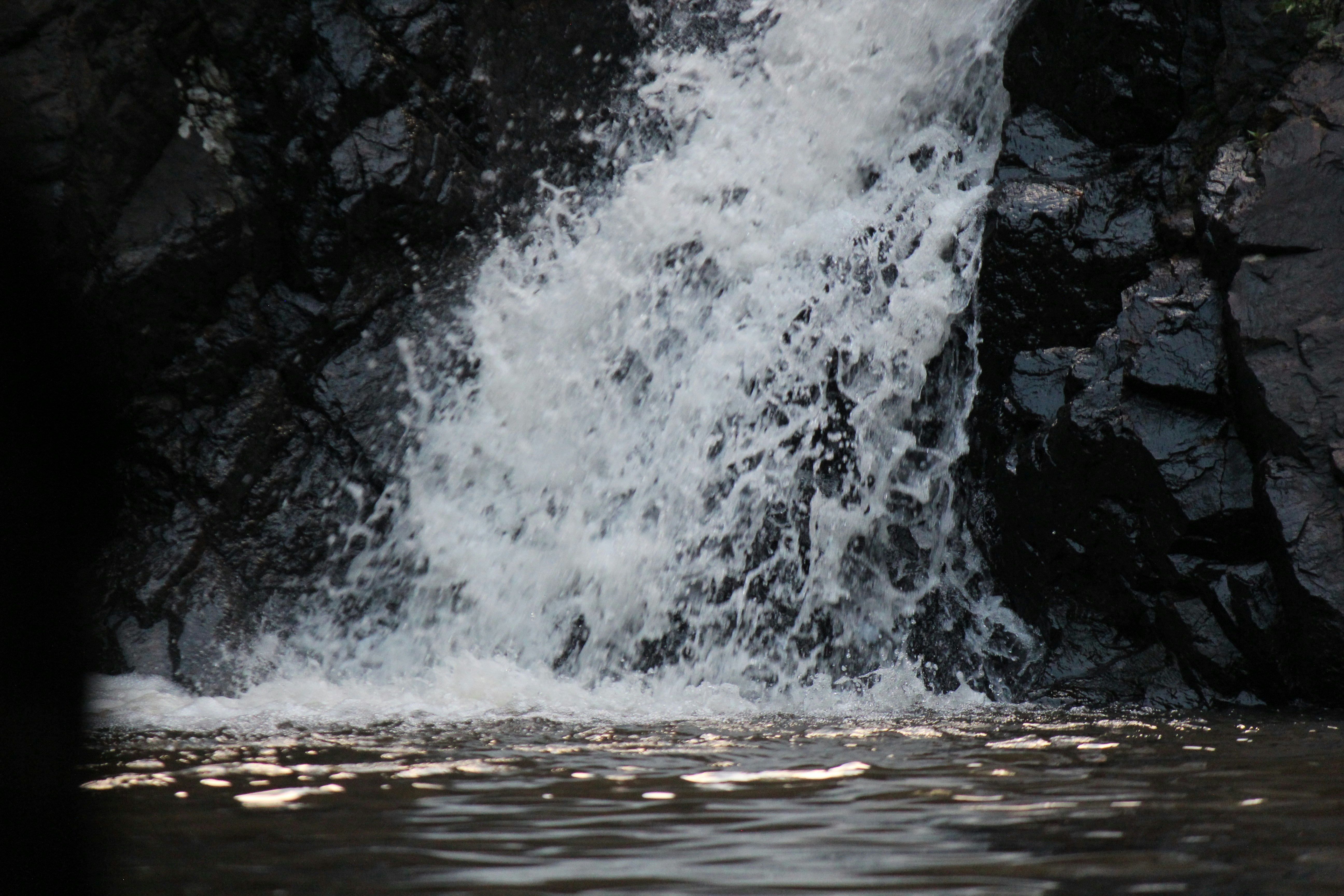 Photo by dm_photography_sc