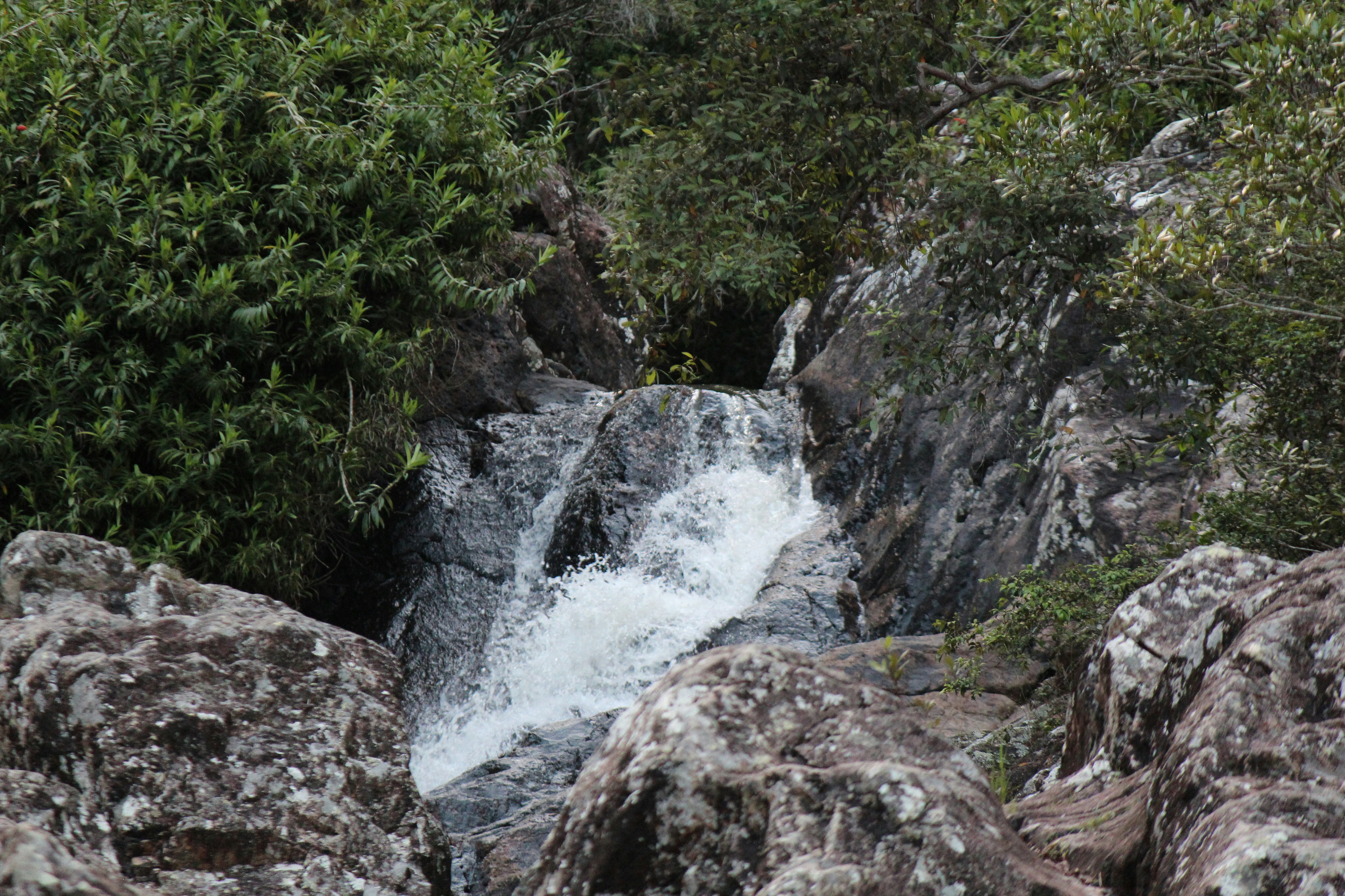 Photo by dm_photography_sc