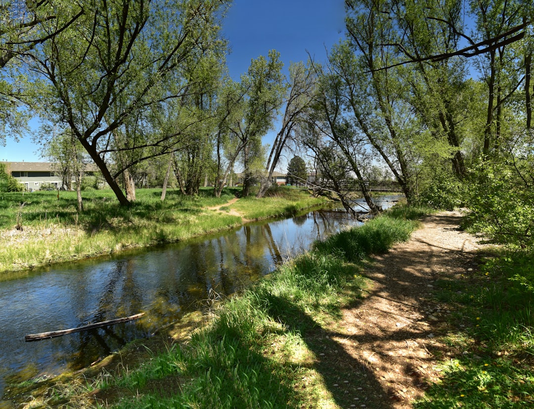 A river flows through a green forest.