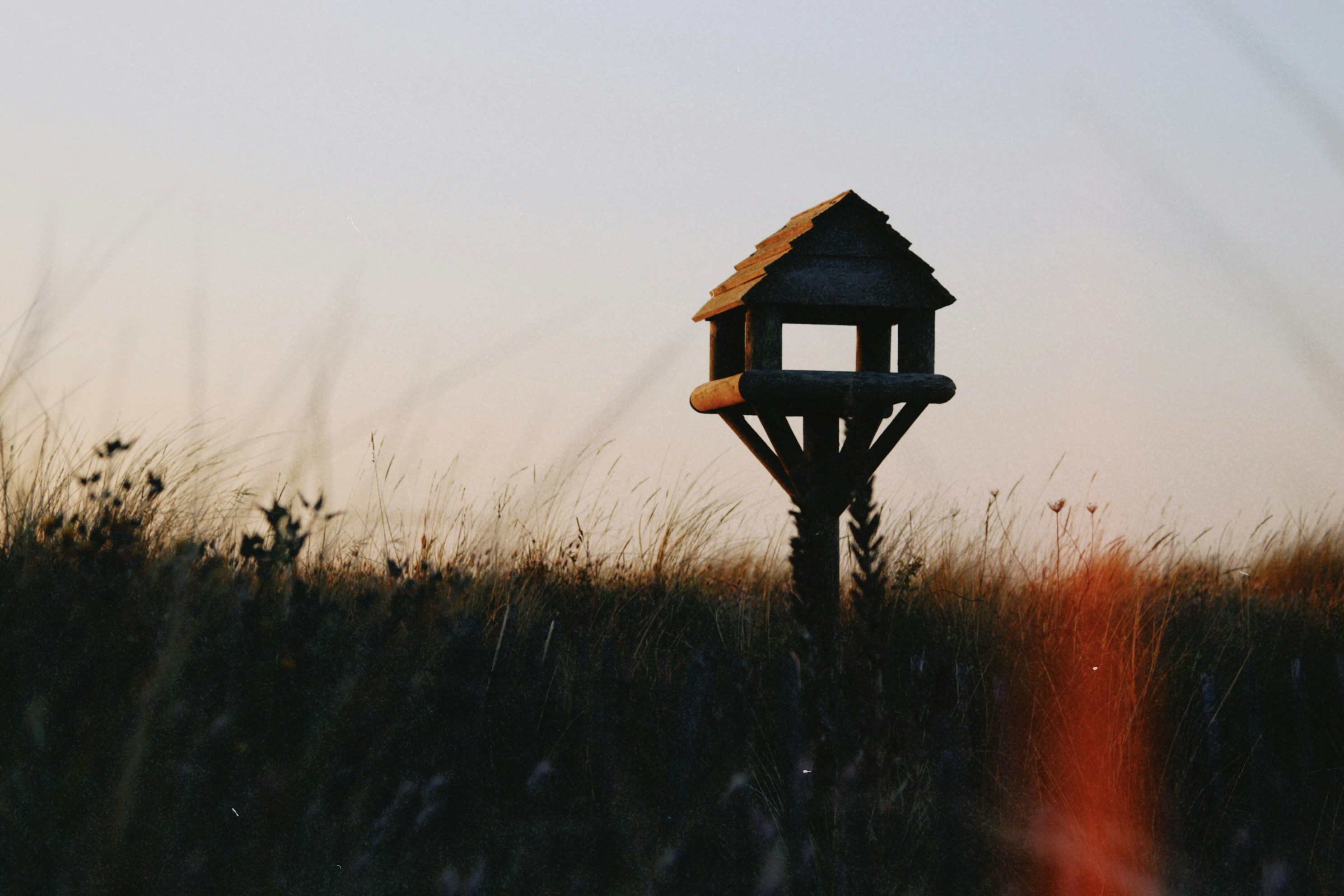 How Much Will You Invest In A Male Stripper? Real Guidance For Occasion Planners