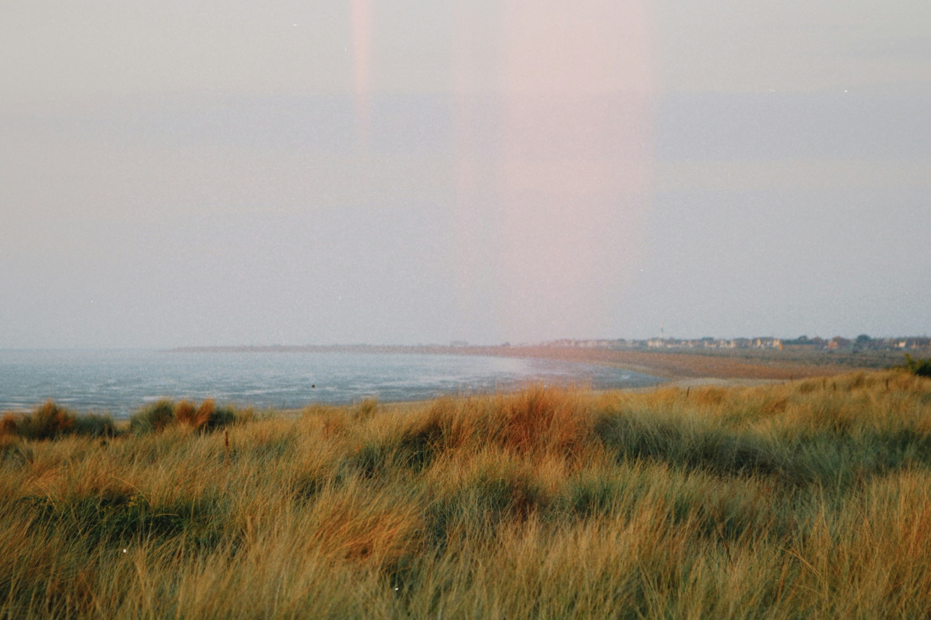 Photo by tanyabarrow