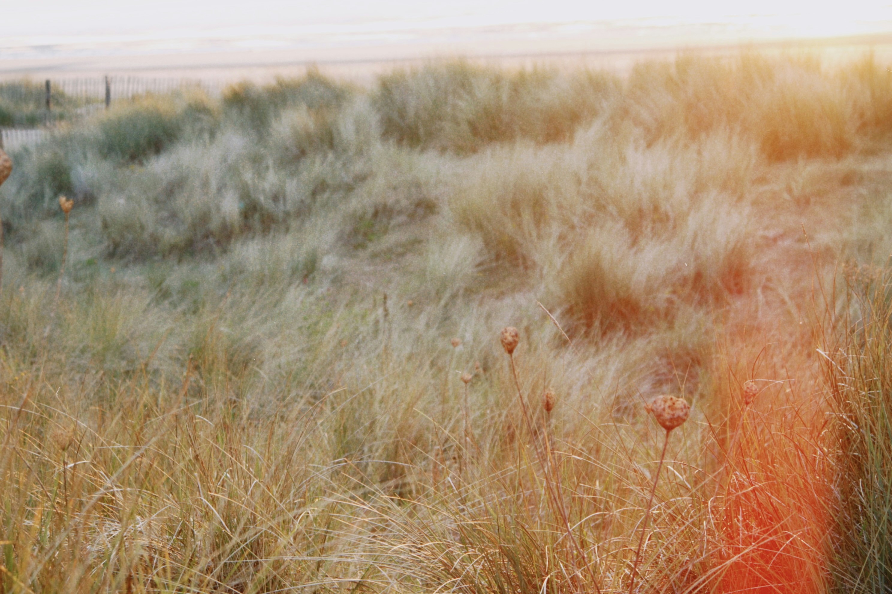 Photo by tanyabarrow