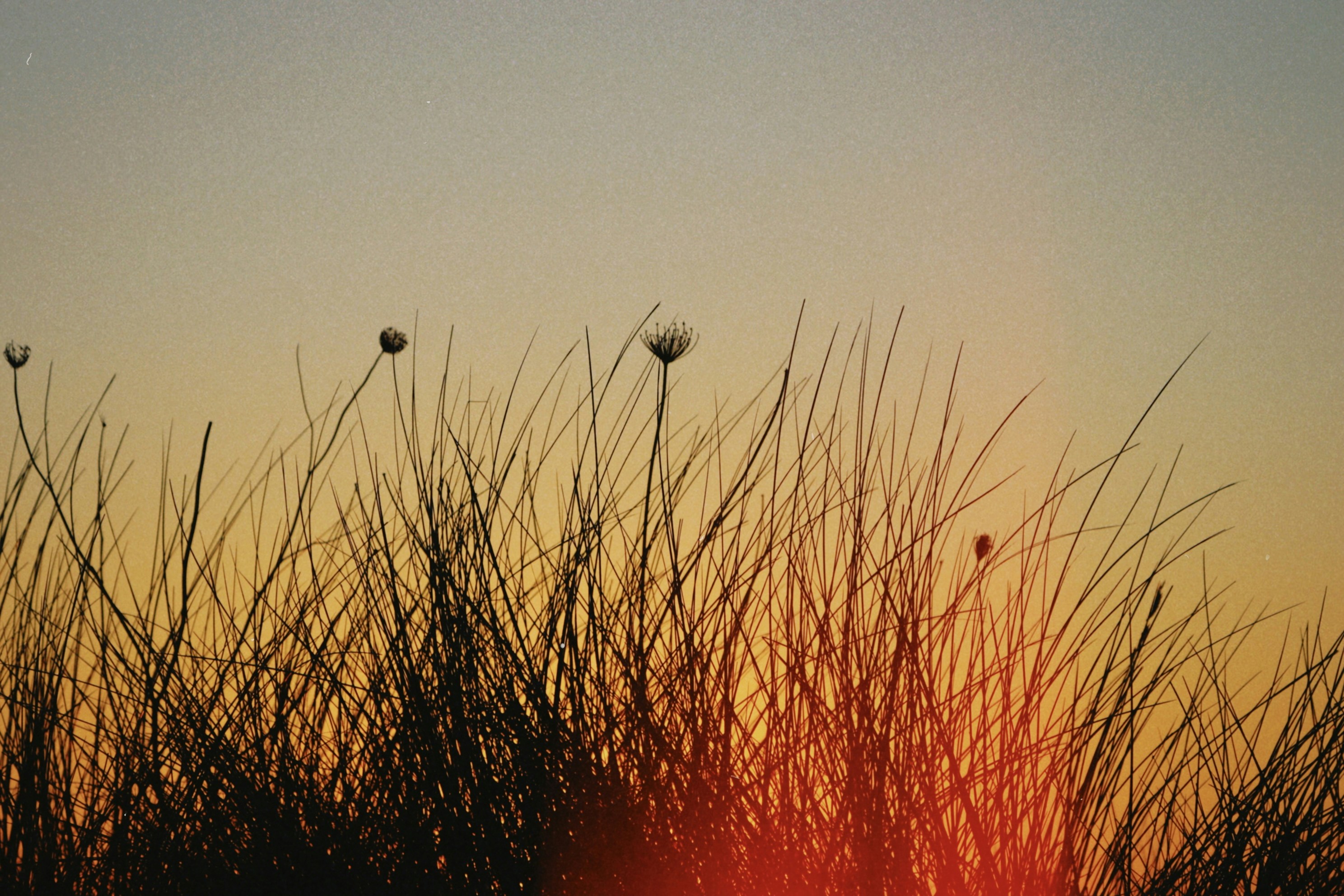 Photo by tanyabarrow