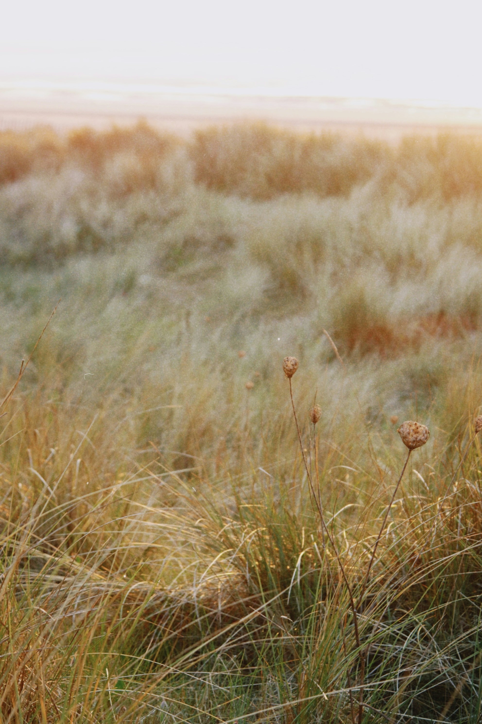 Photo by tanyabarrow