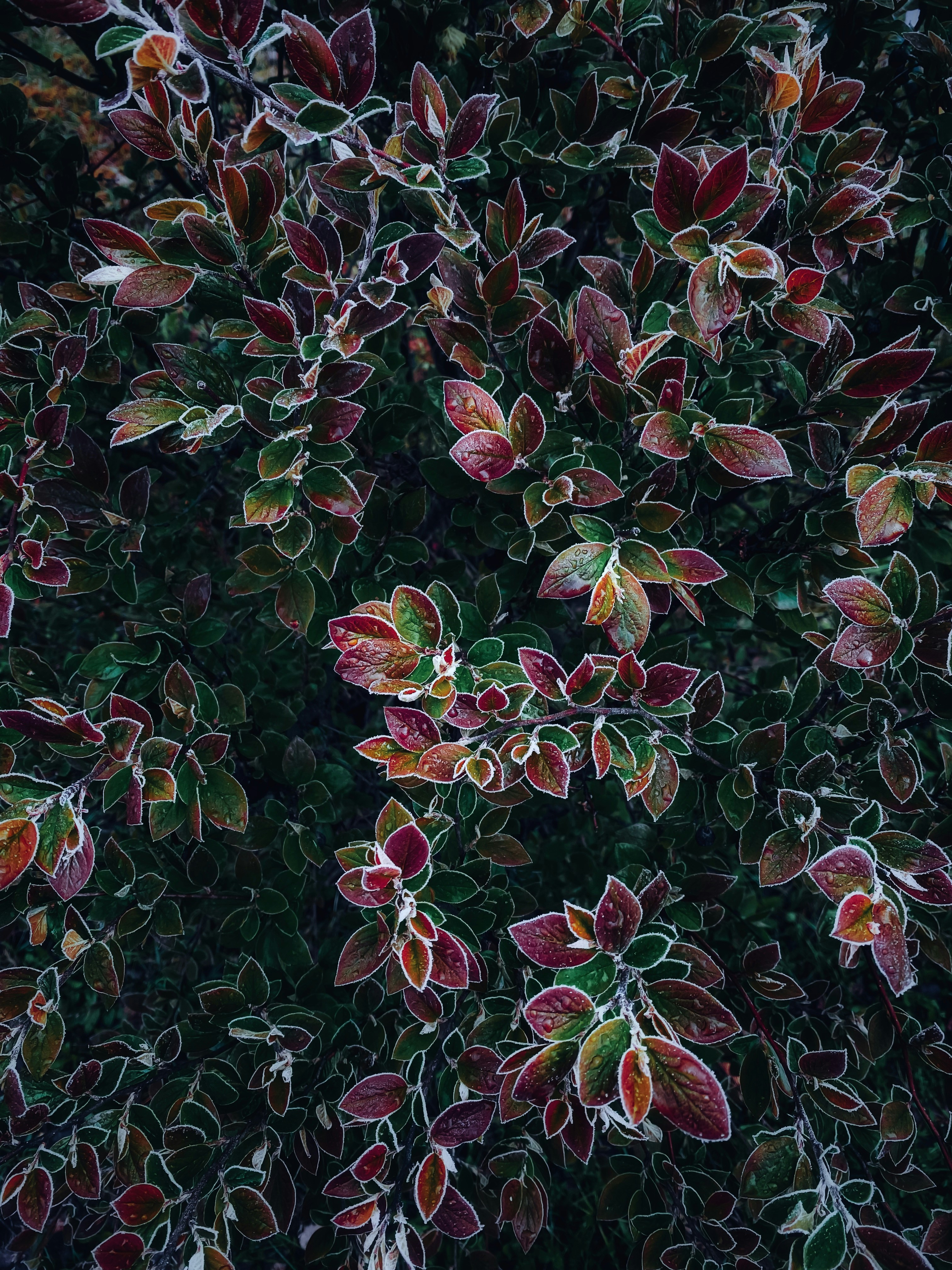 Photo by eugene_golovesov