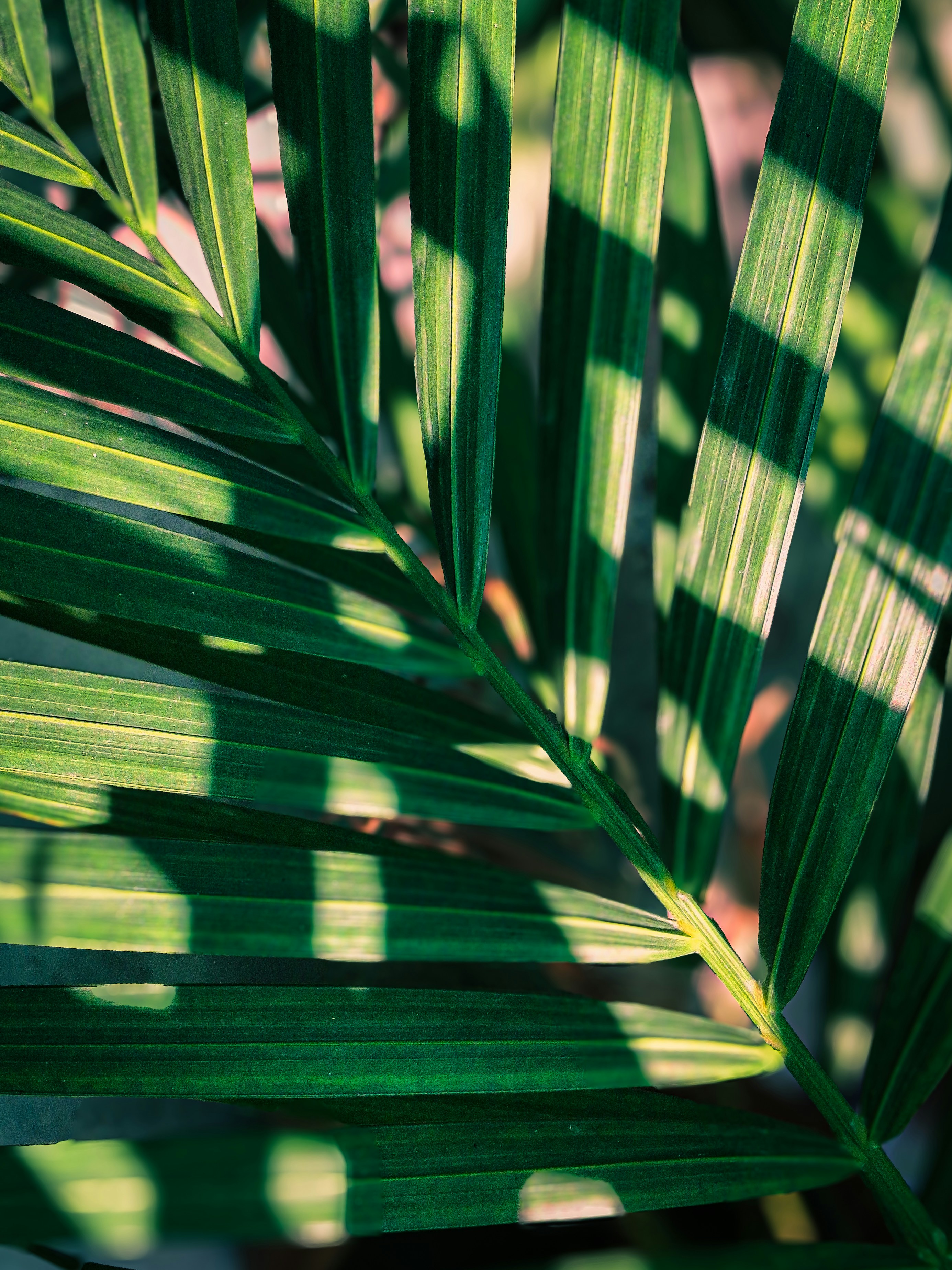 Photo by cinestellar_co