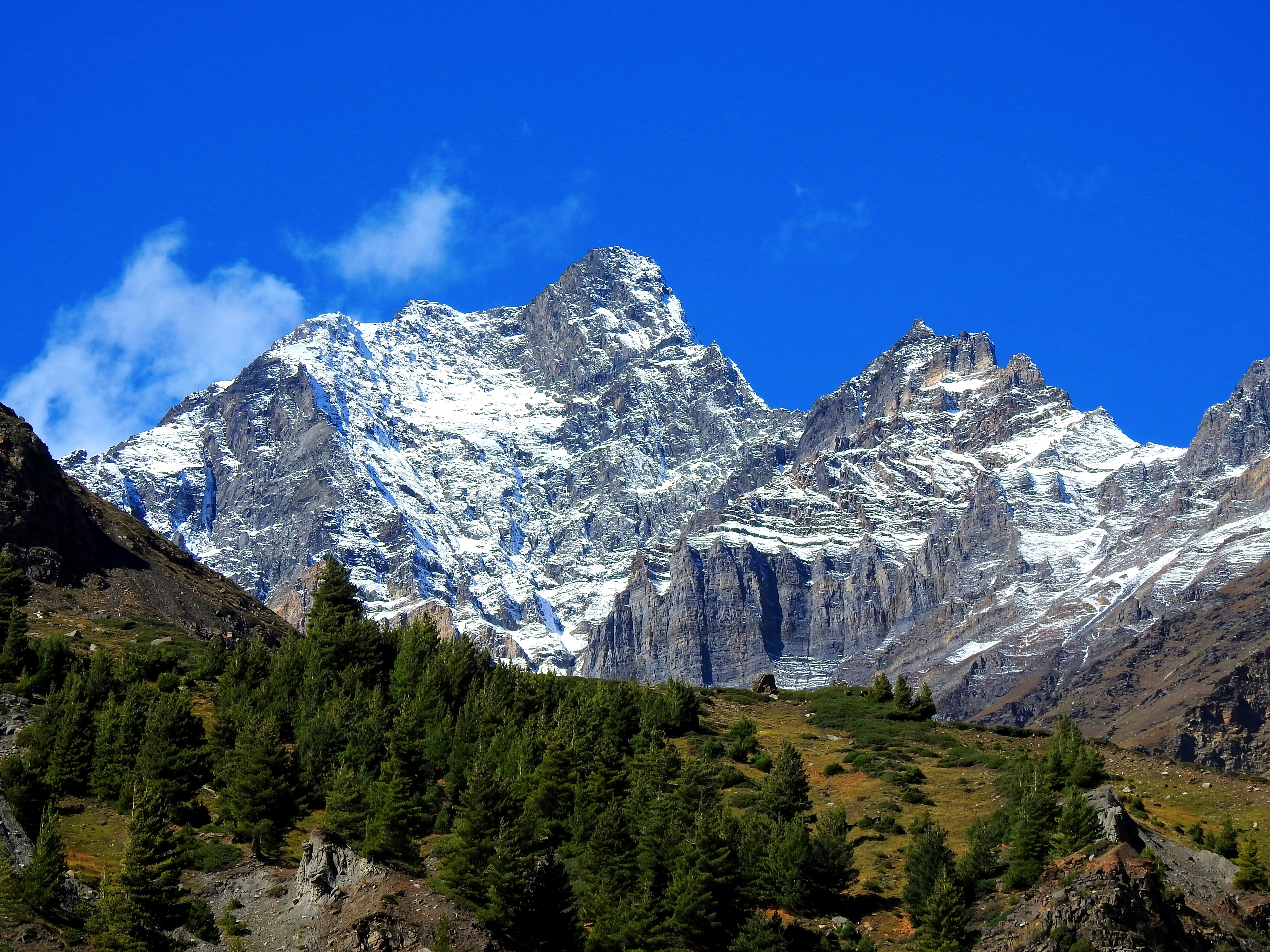 Photo by natureandmylens