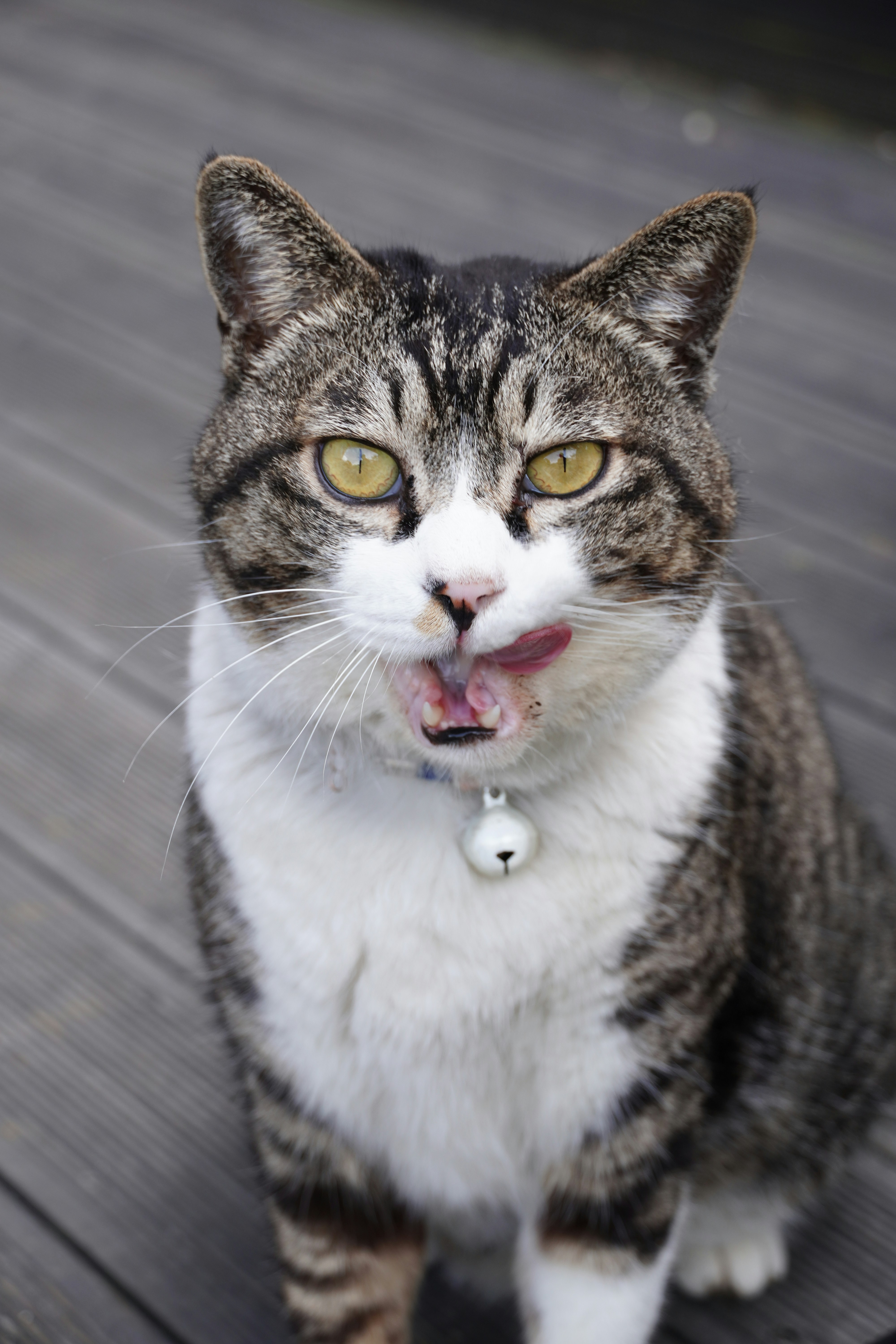 Photo by lifeinkorea