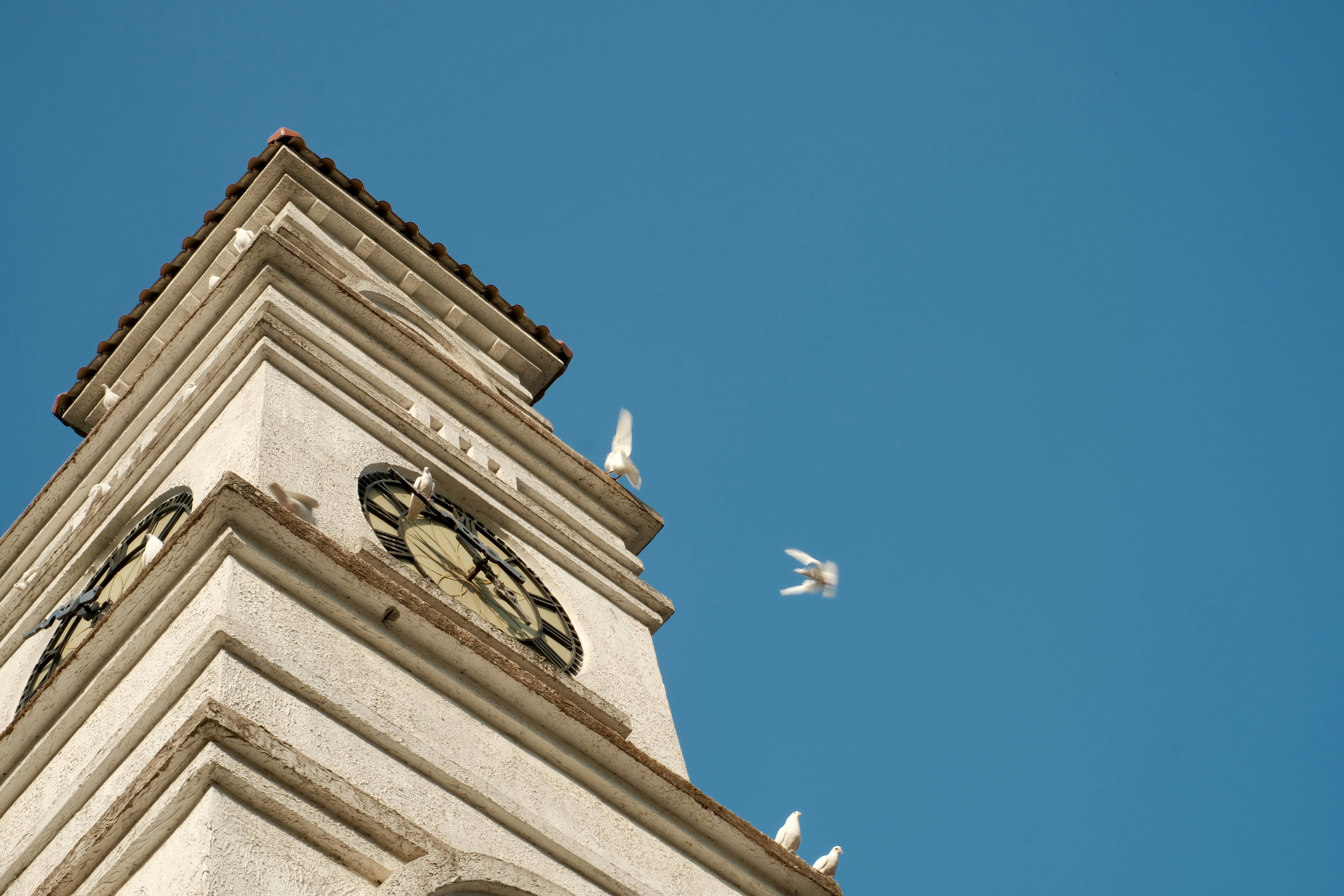 Photo by ericwang0115