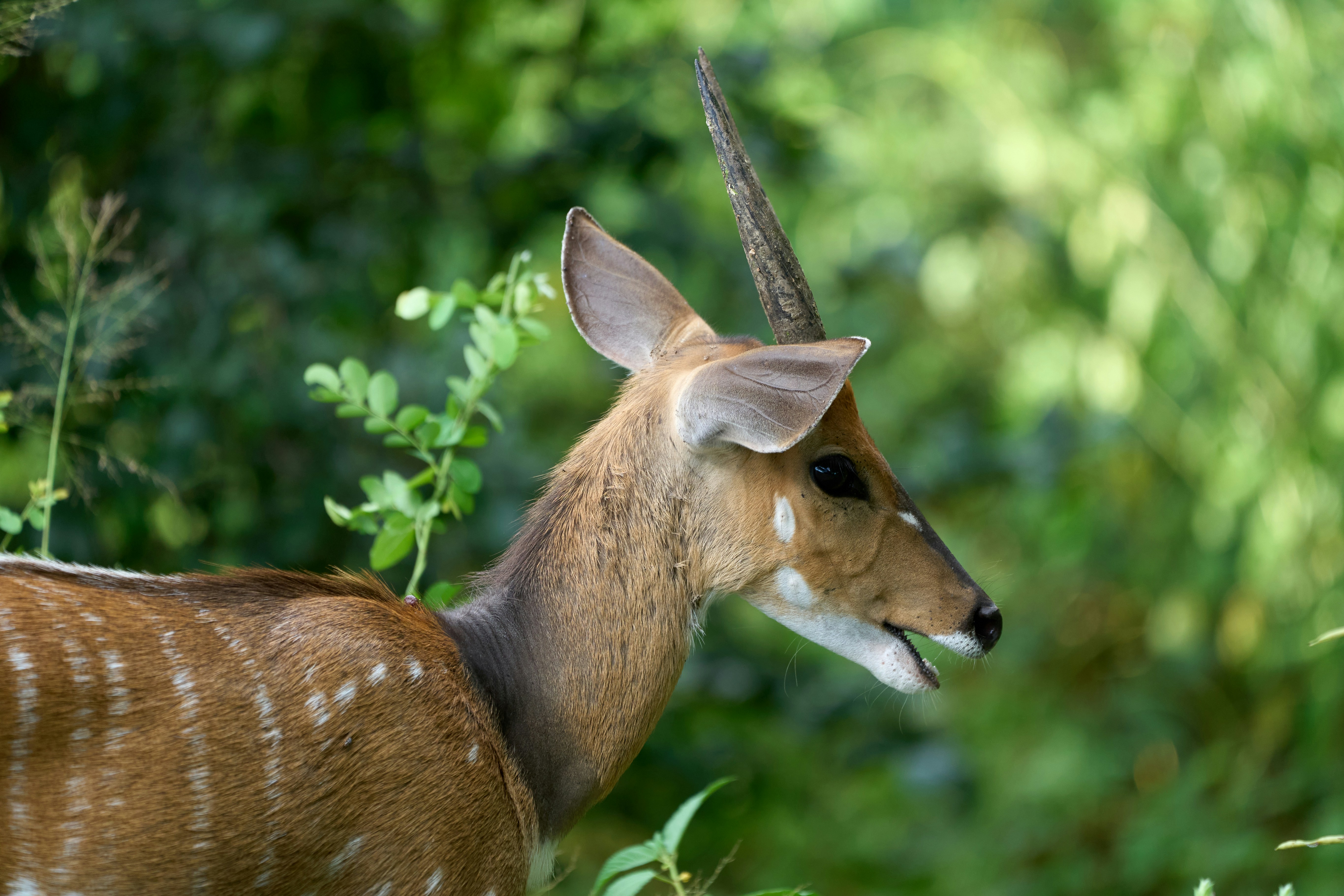 Photo by dmitrii_zhodzishskii