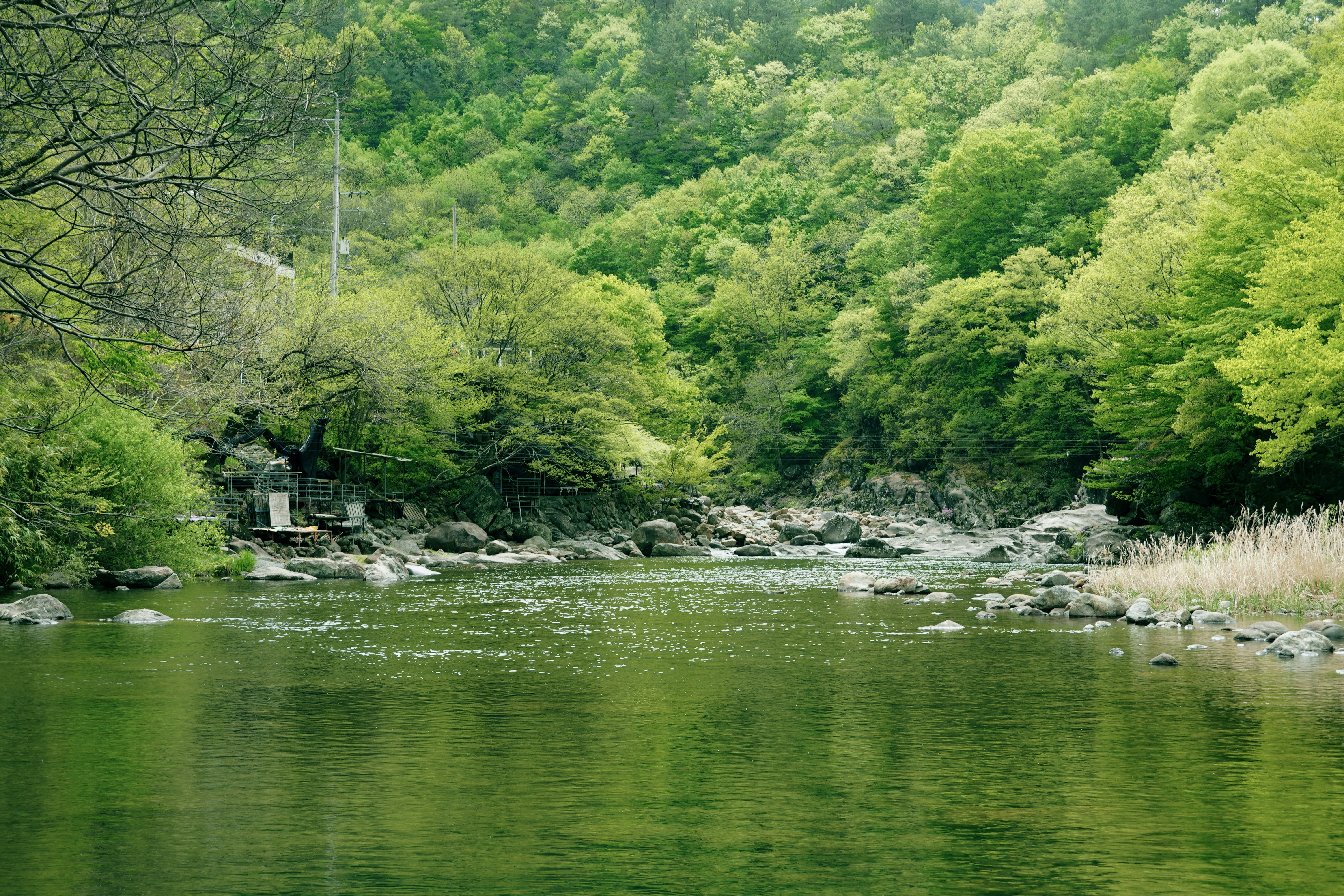 Photo by lifeinkorea