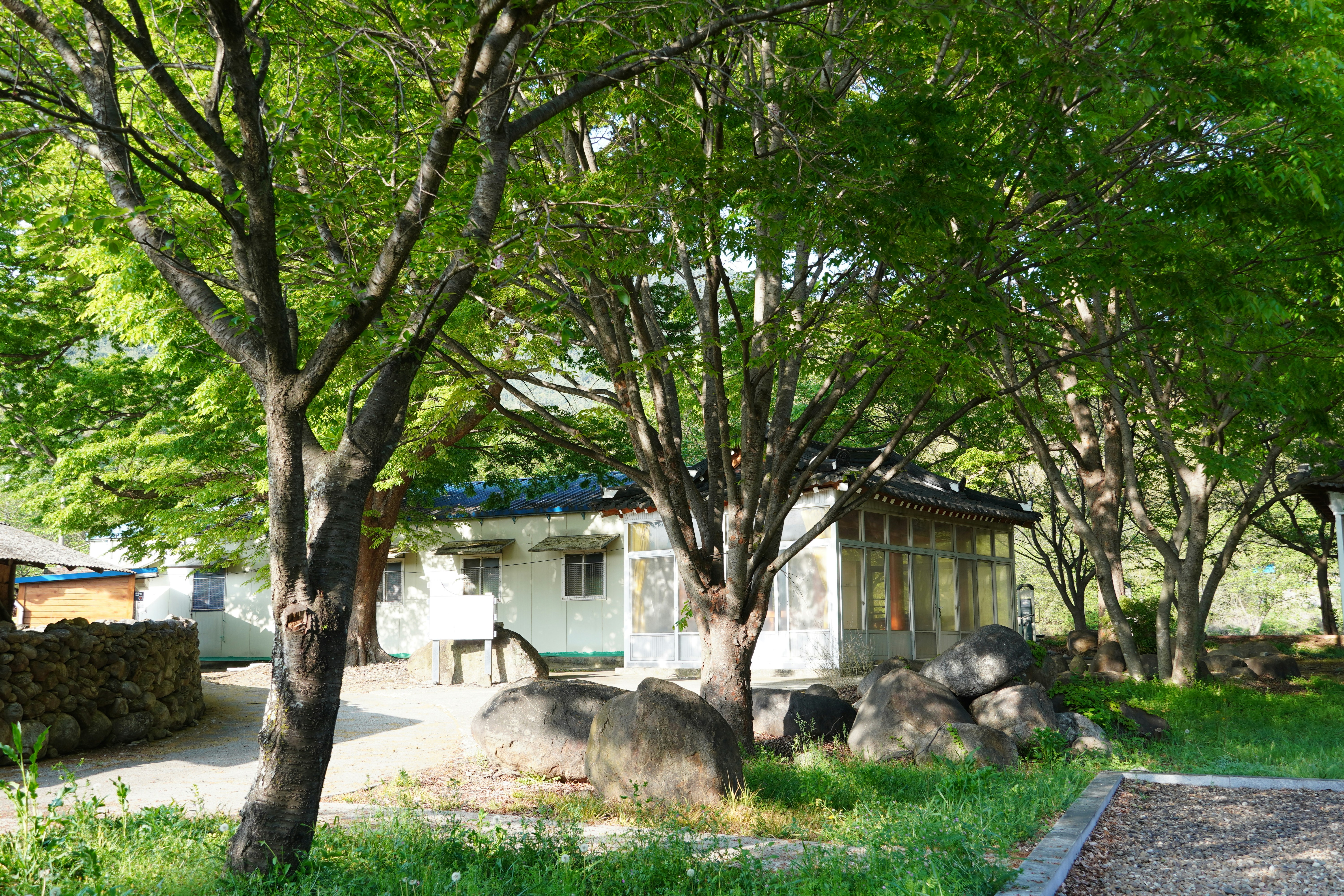 Photo by lifeinkorea