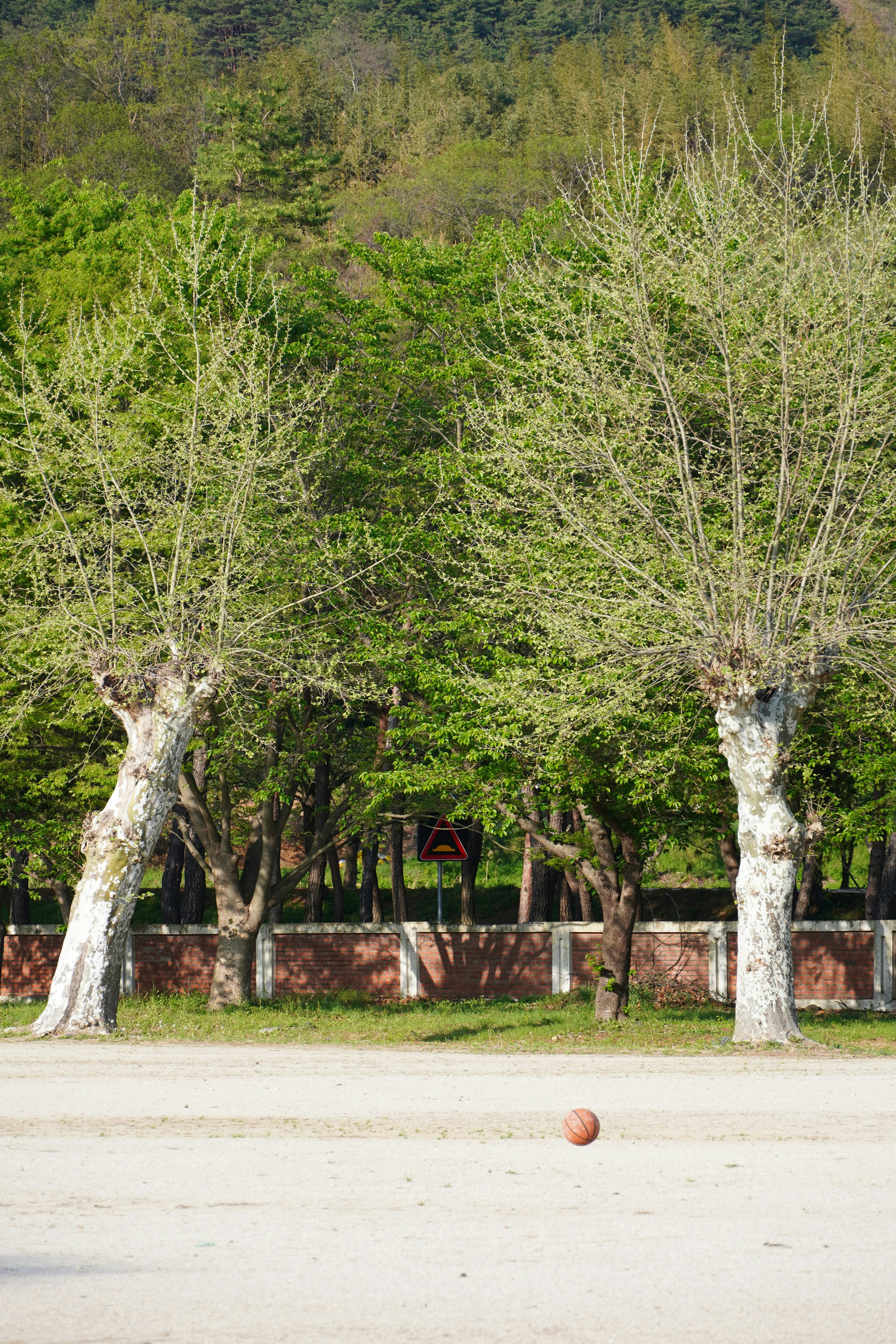 Photo by lifeinkorea