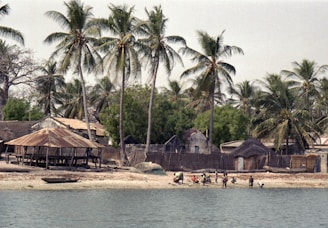 Tropical village scene with palm trees and the sea.
