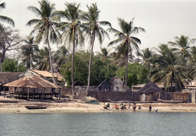 Tropical village scene with palm trees and the sea.