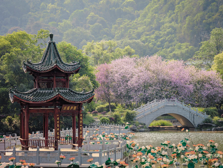 Chrysanthemum blooms arranged in a Chinese garden during autumn