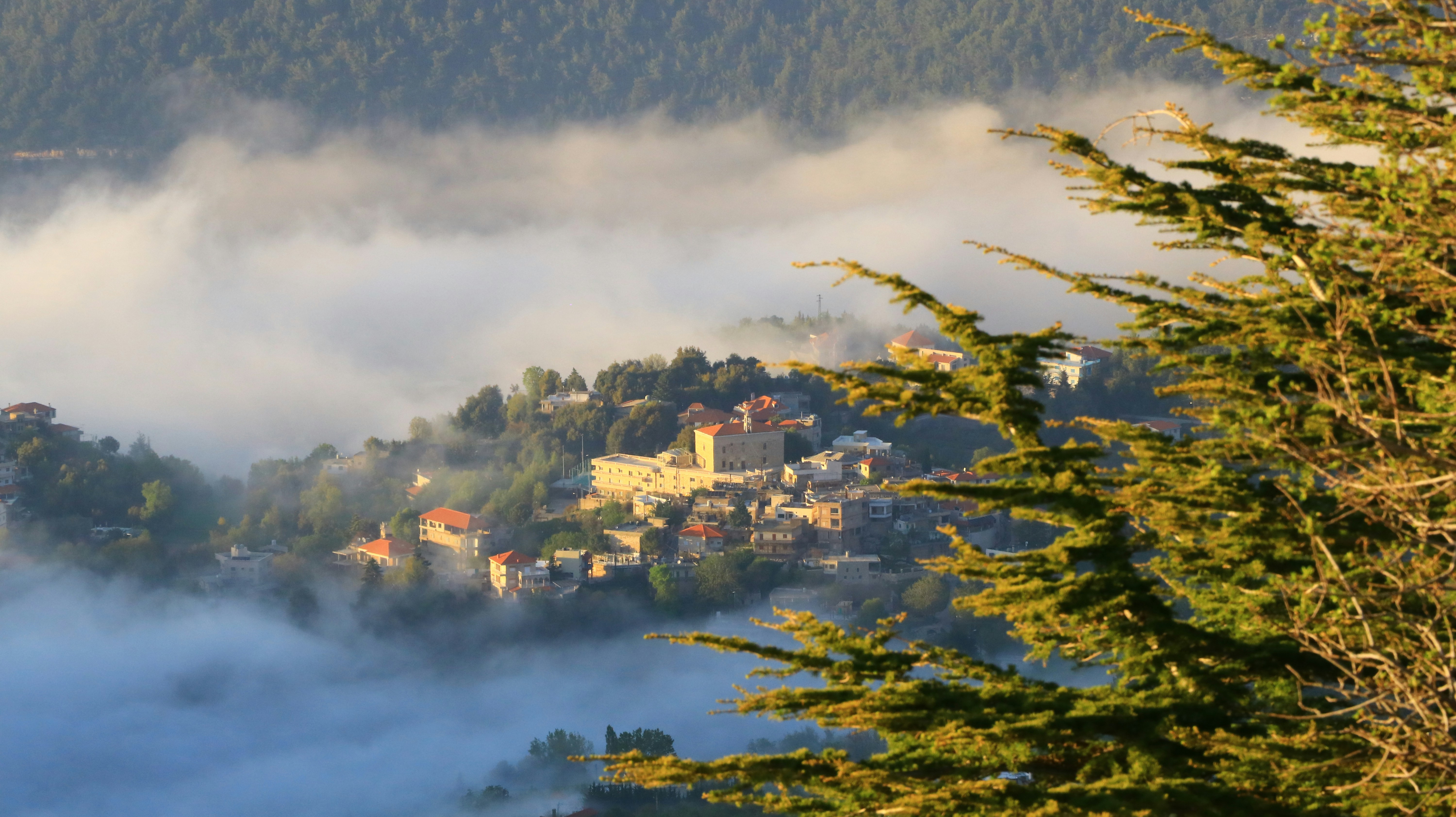 Photo by jack_harbieh