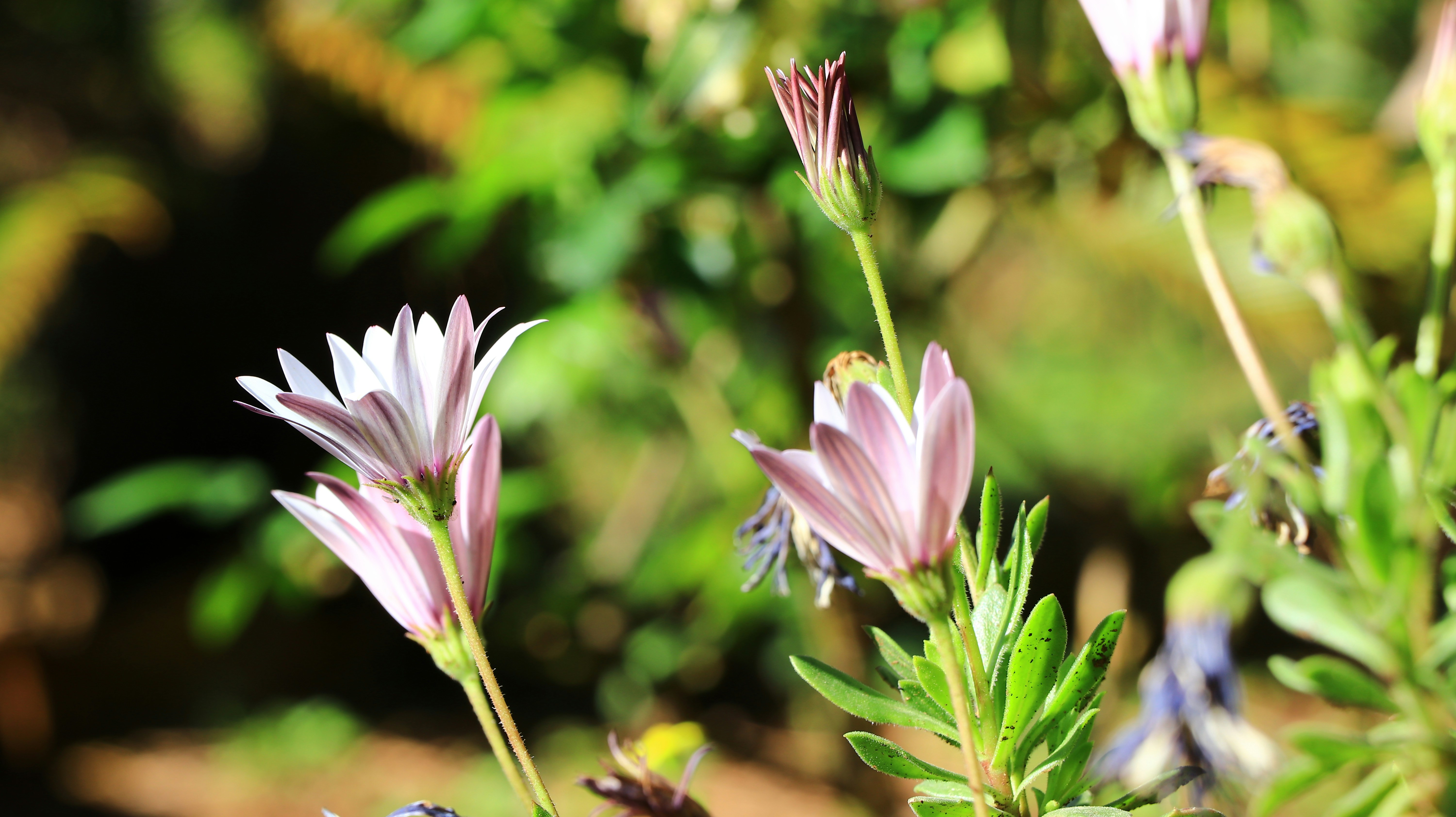 Photo by jack_harbieh