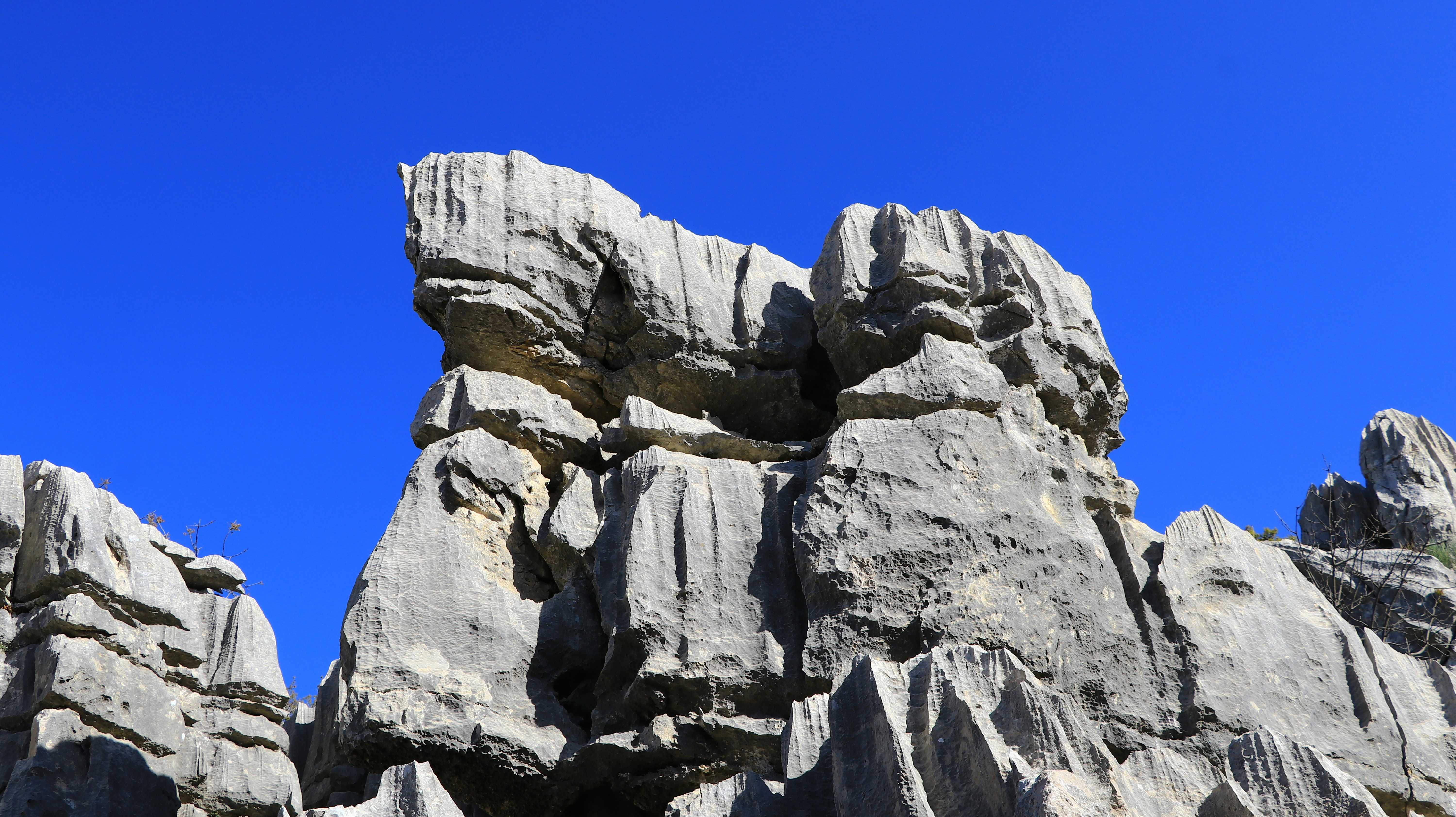 Photo by jack_harbieh