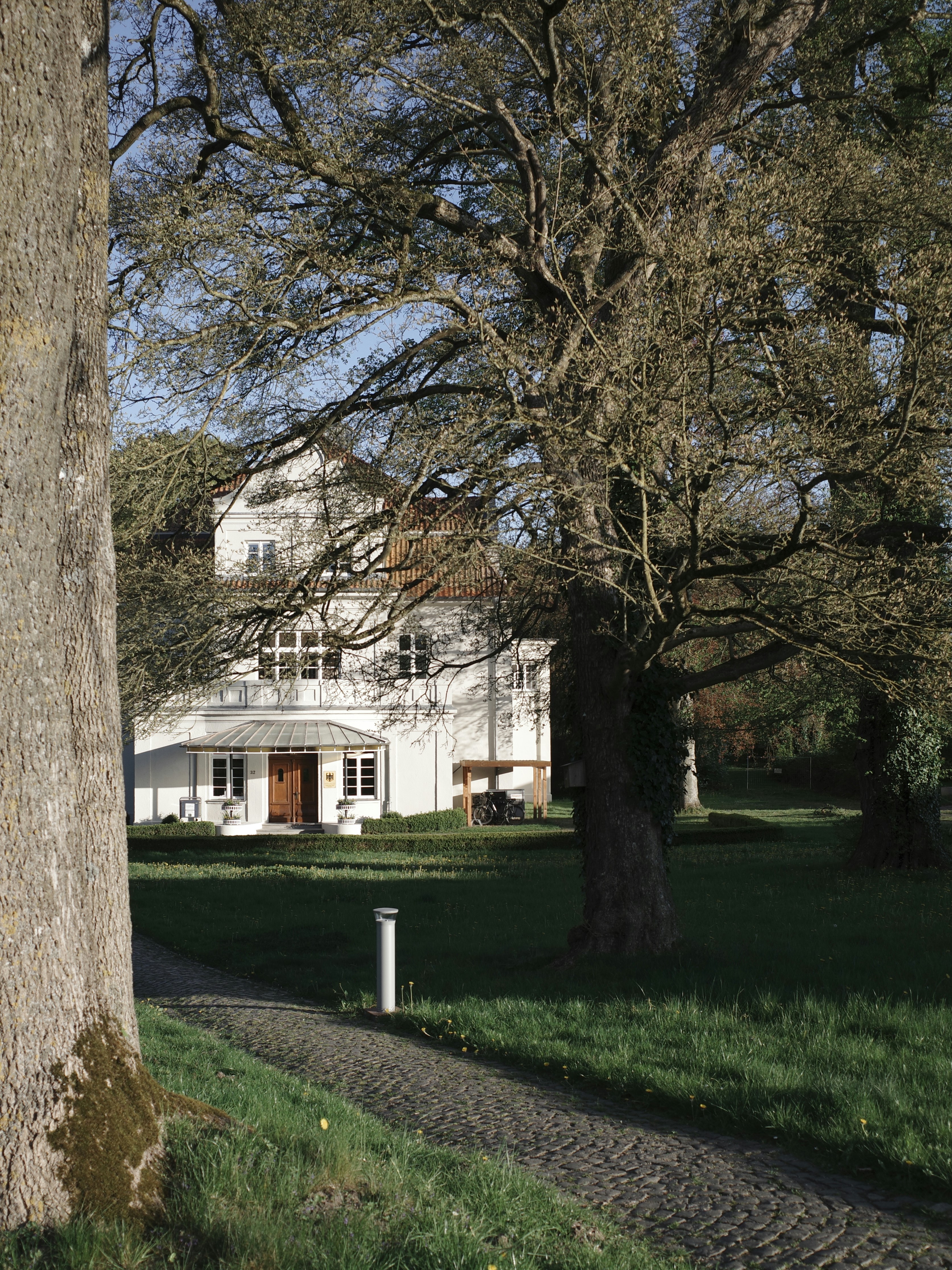 Uma casa branca fica atrás de uma árvore.