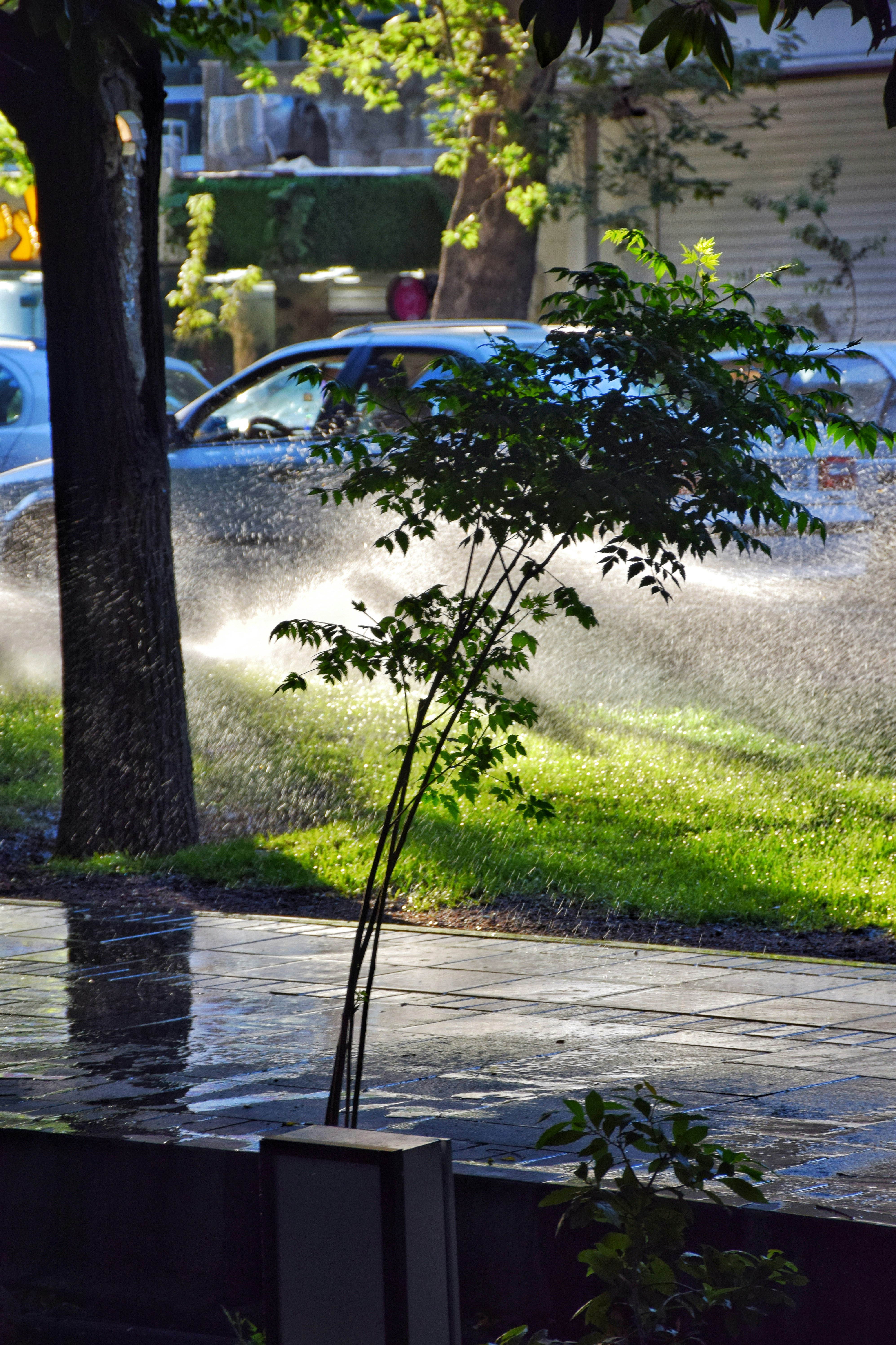 Photo by aliaghaee4789