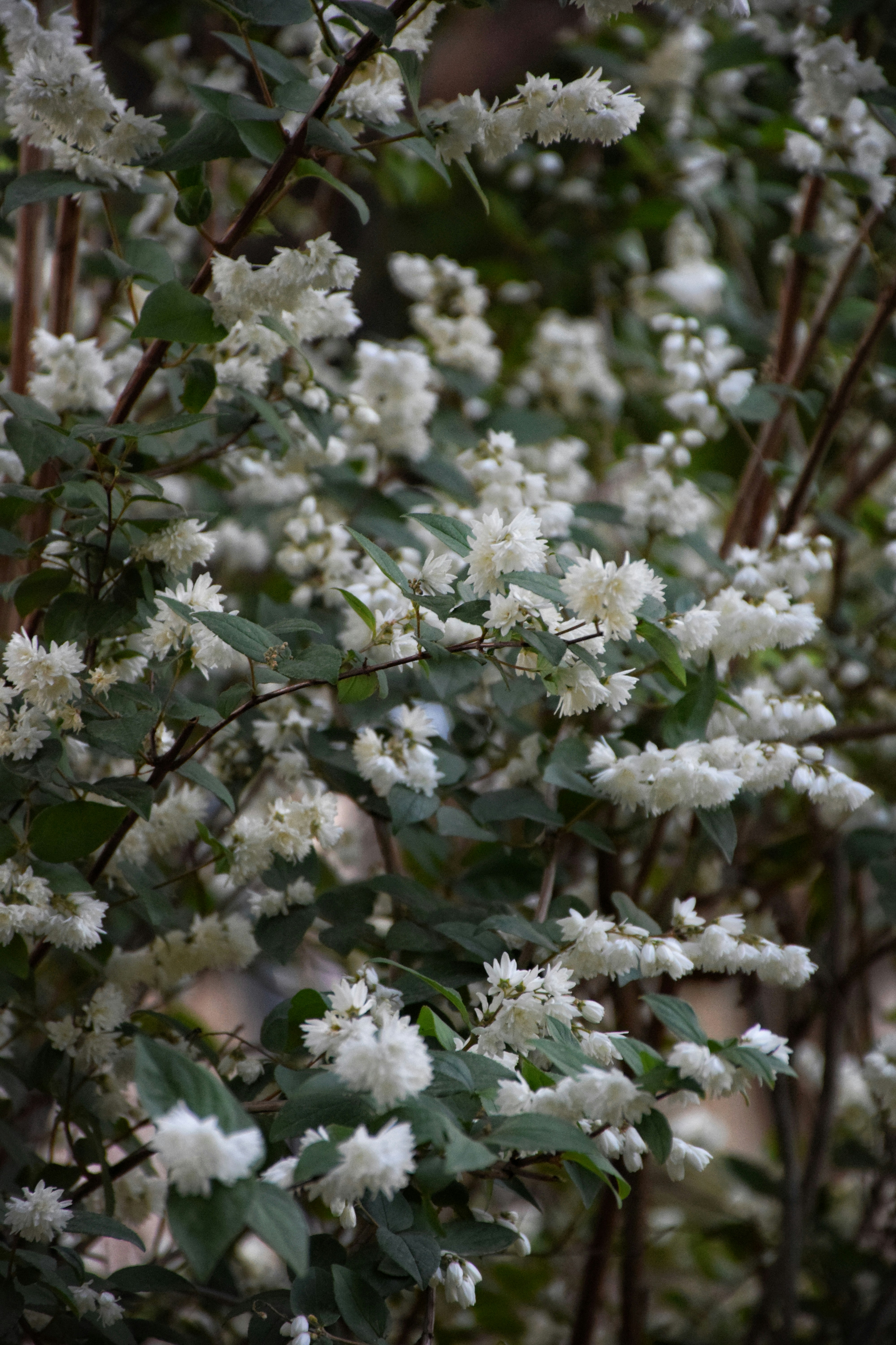 Photo by aliaghaee4789