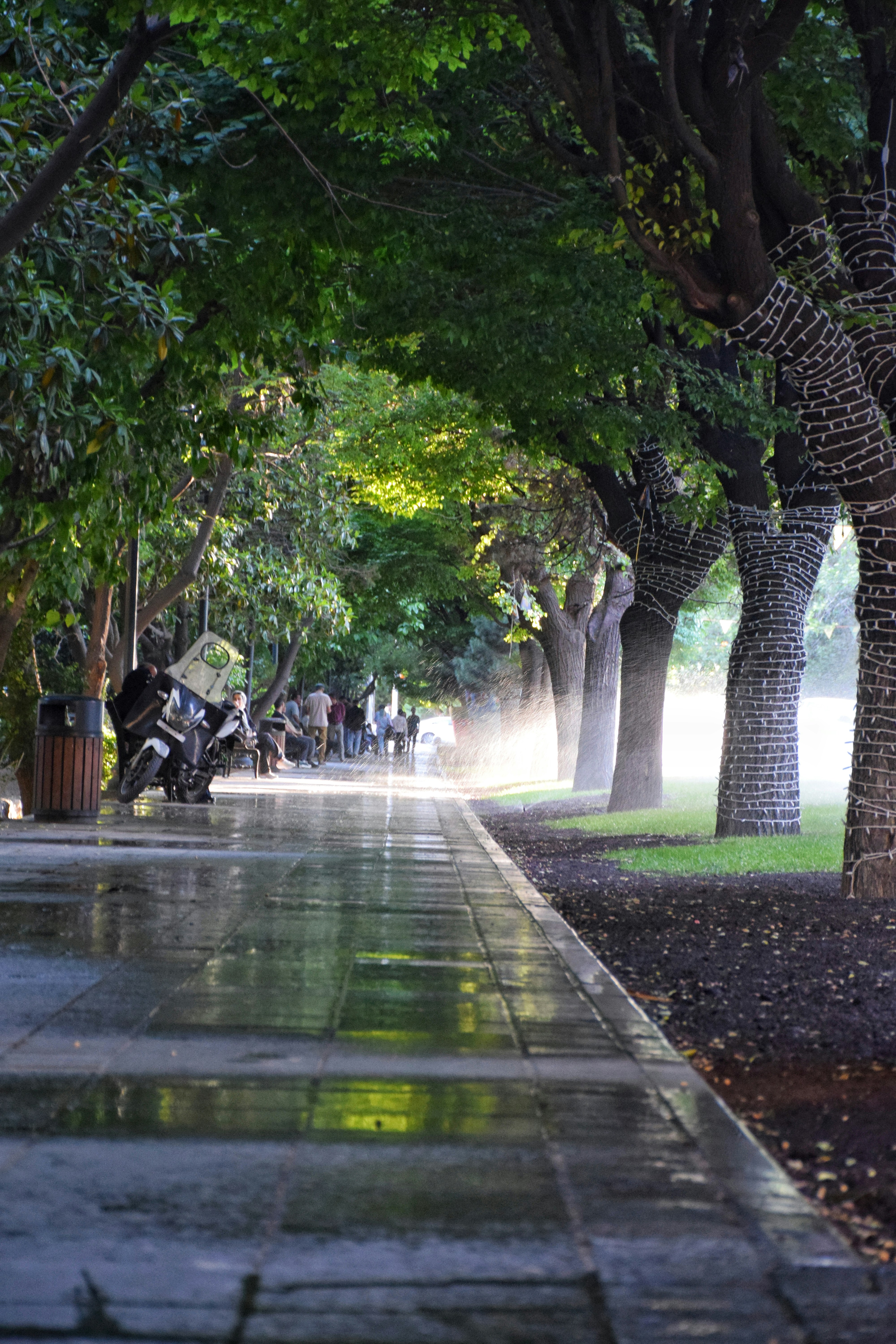 Photo by aliaghaee4789