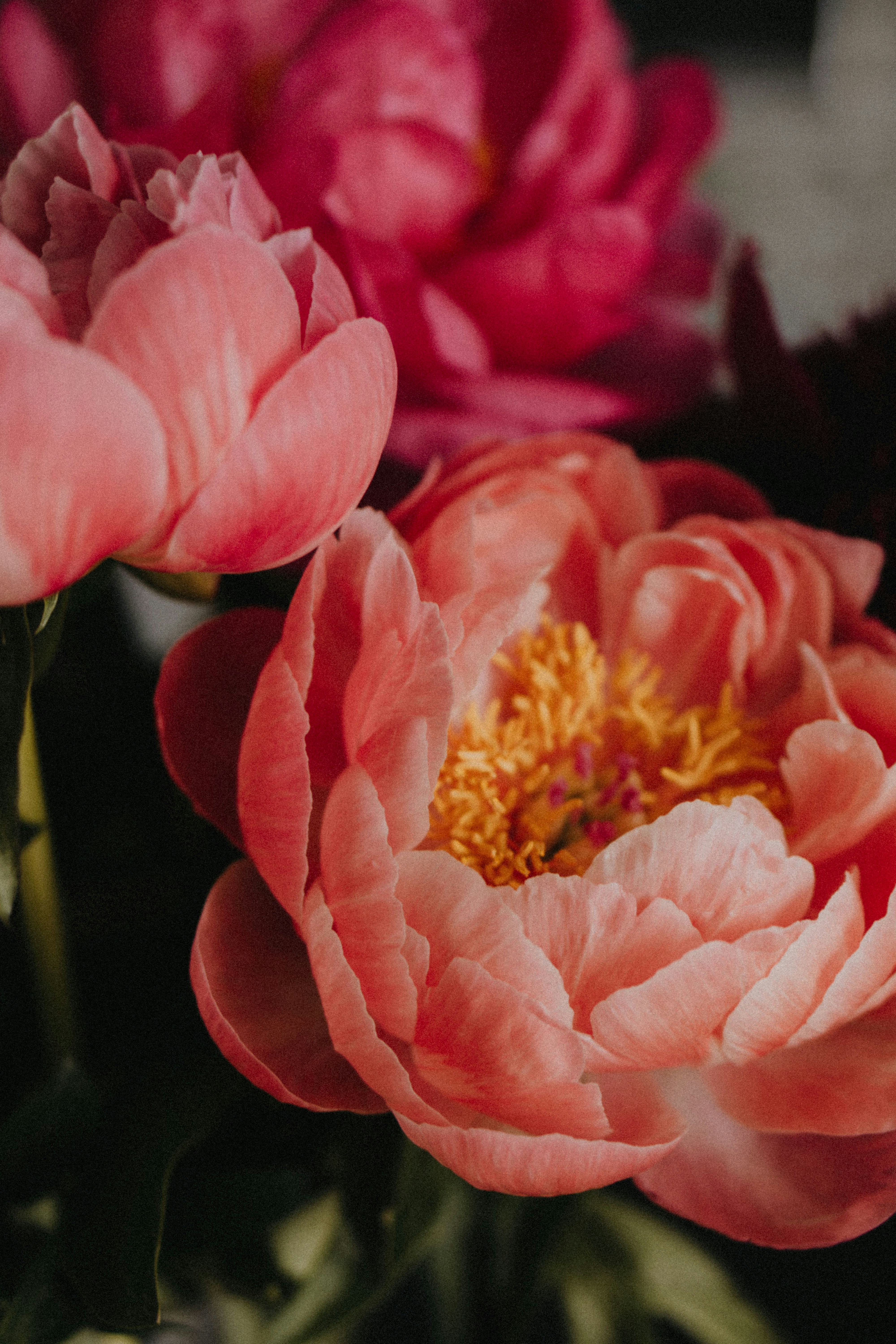 Photo by kateryna_senkevych