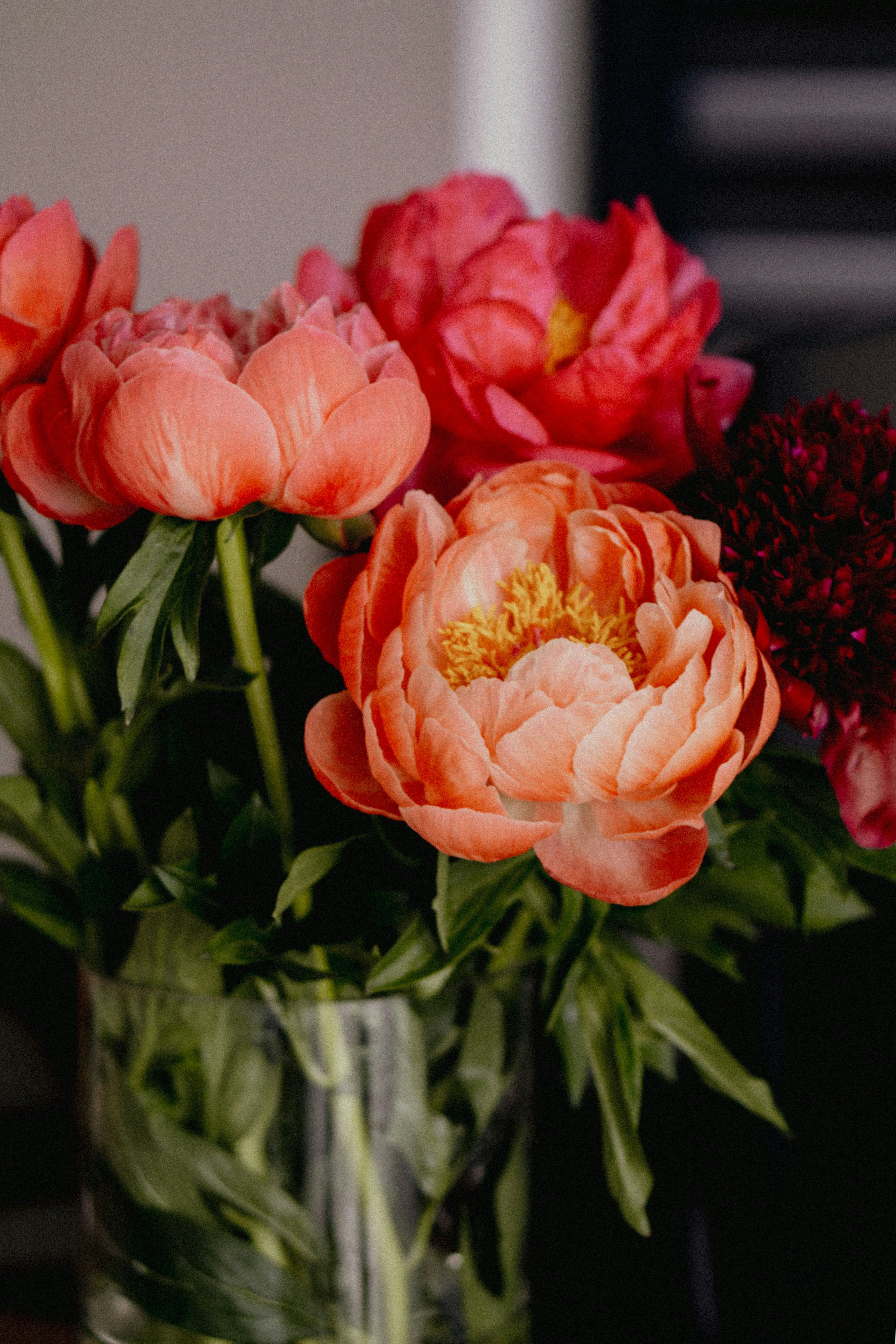 Photo by kateryna_senkevych