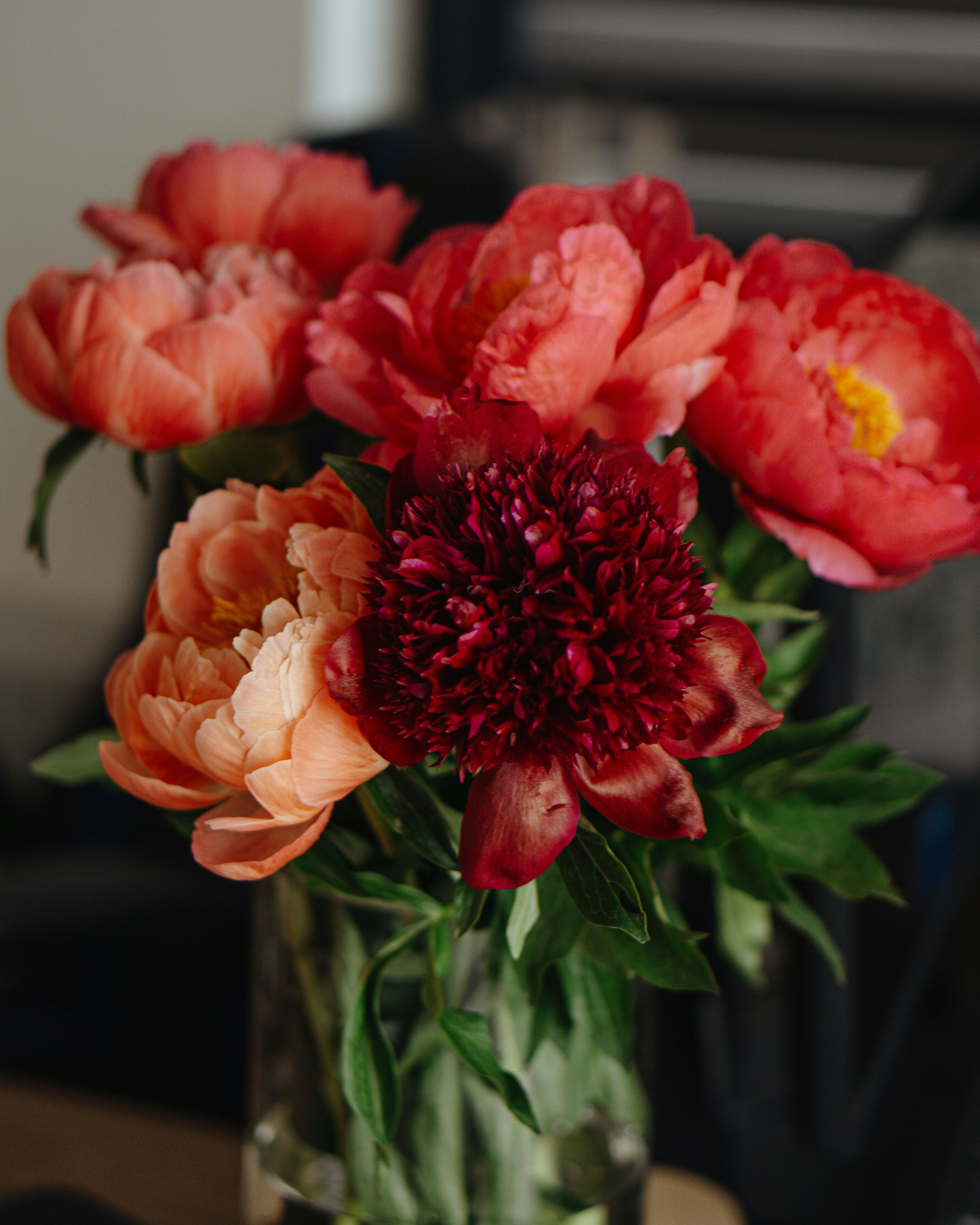 Photo by kateryna_senkevych