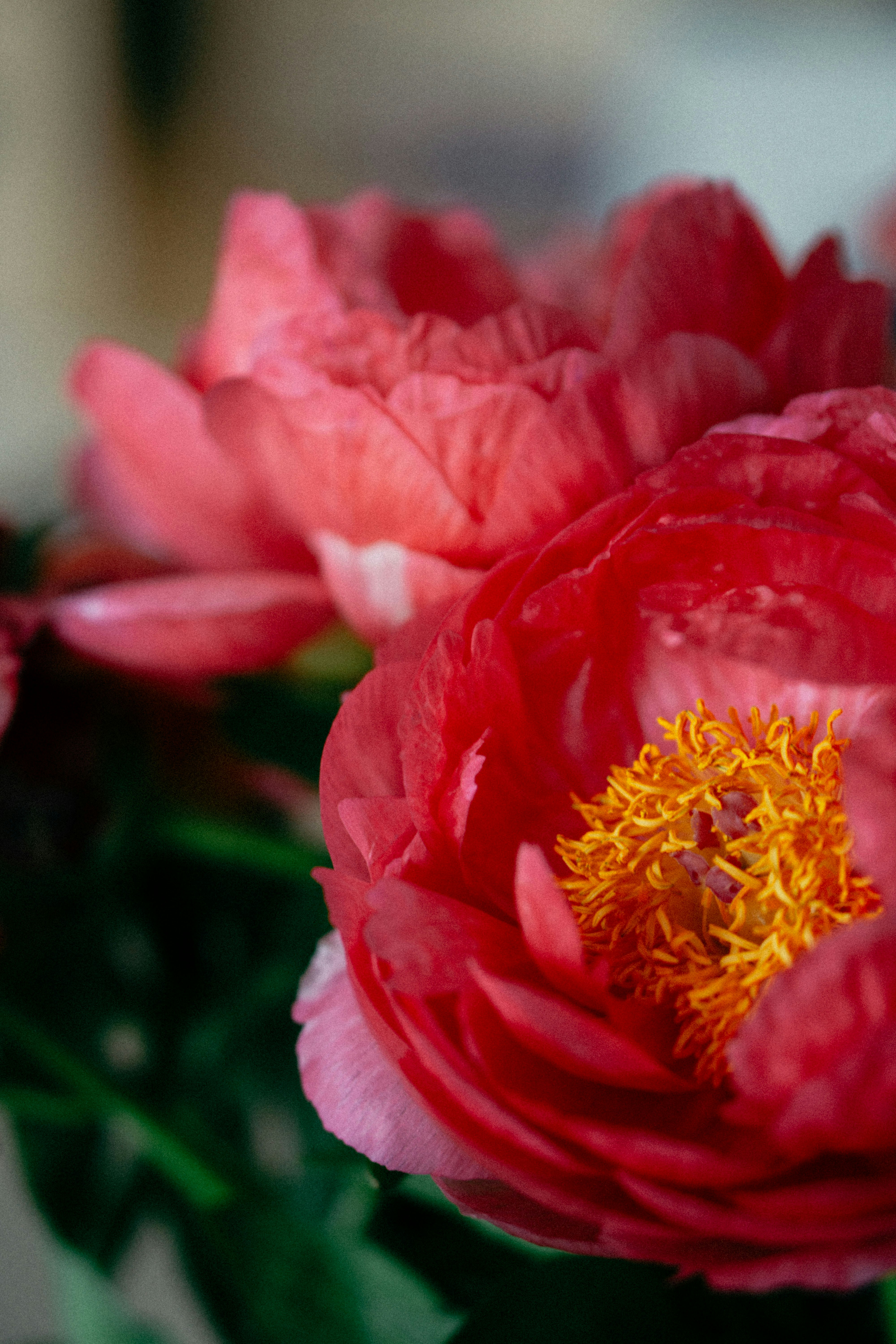 Photo by kateryna_senkevych