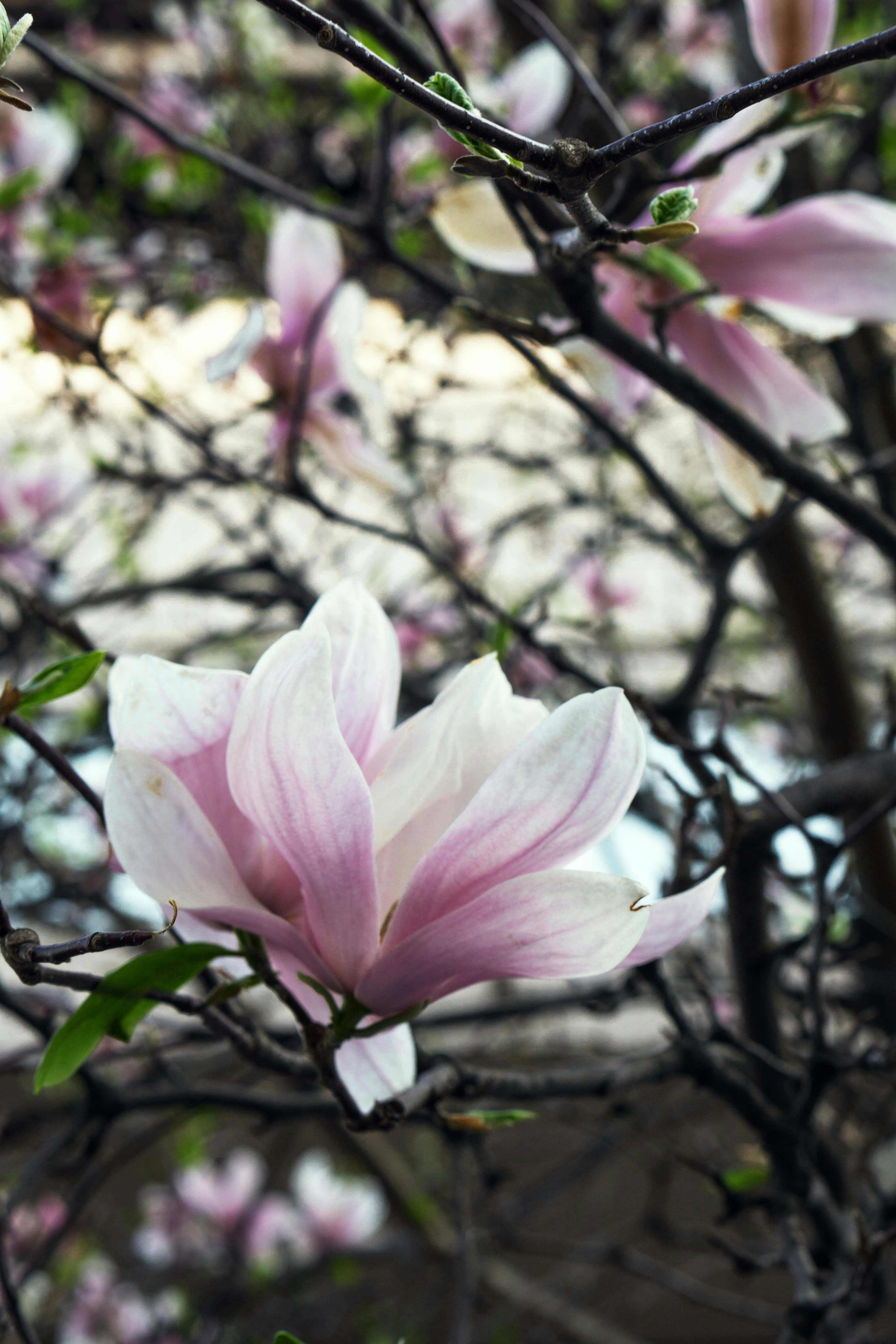 Photo by kateryna_senkevych