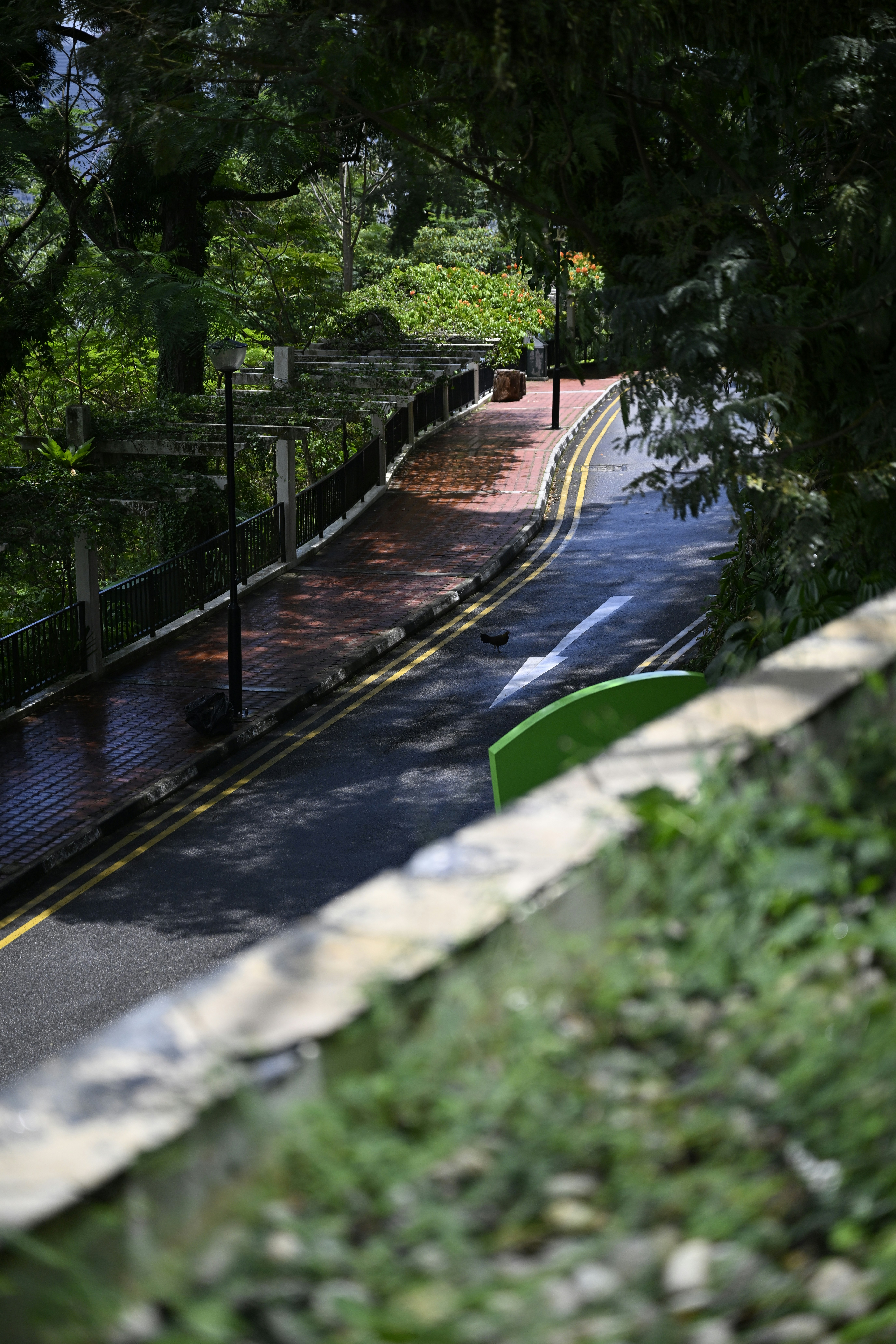 Wet road curves through a green, lush environment.