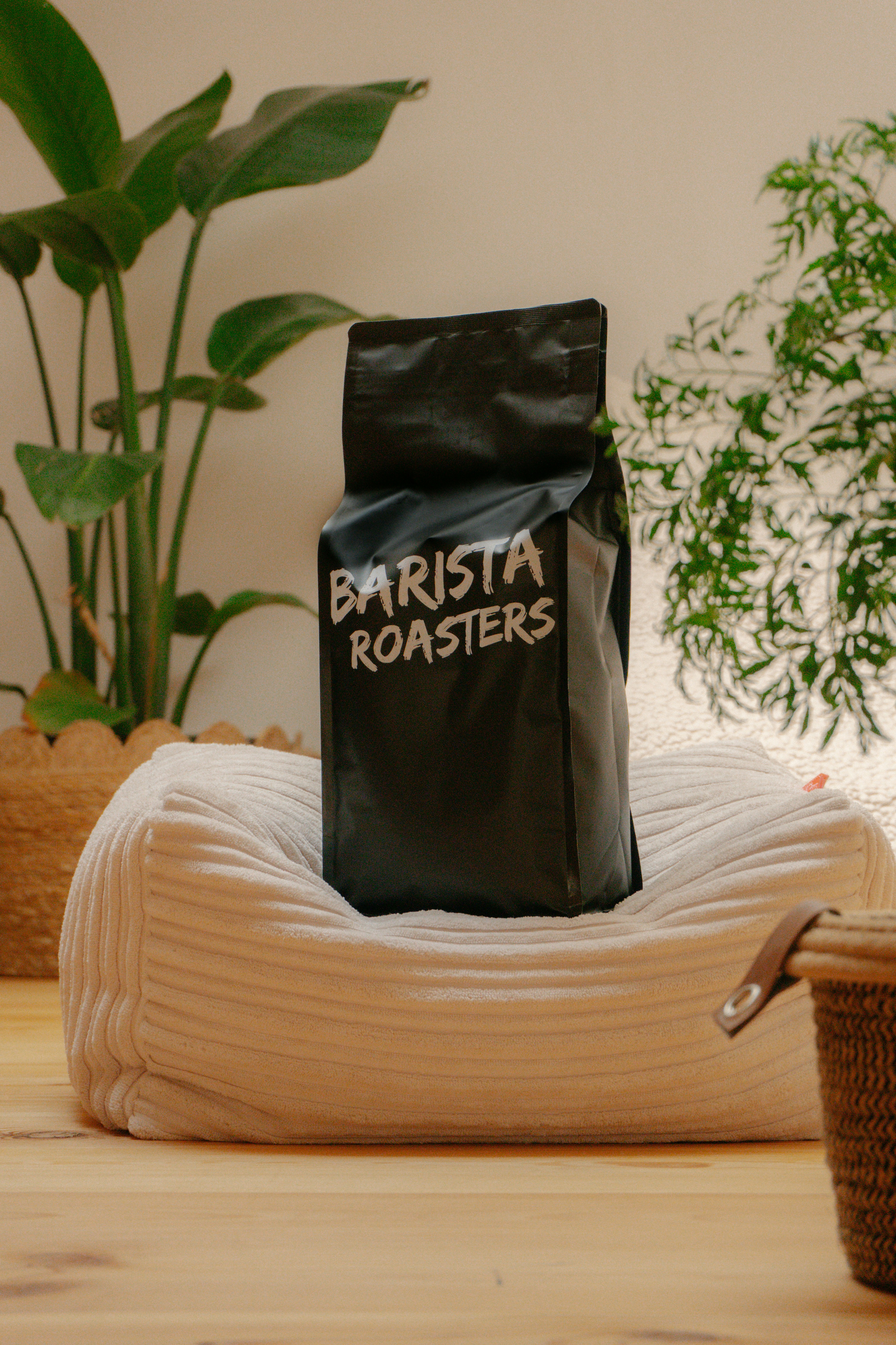 Coffee bag on a beanbag with plants in the background.