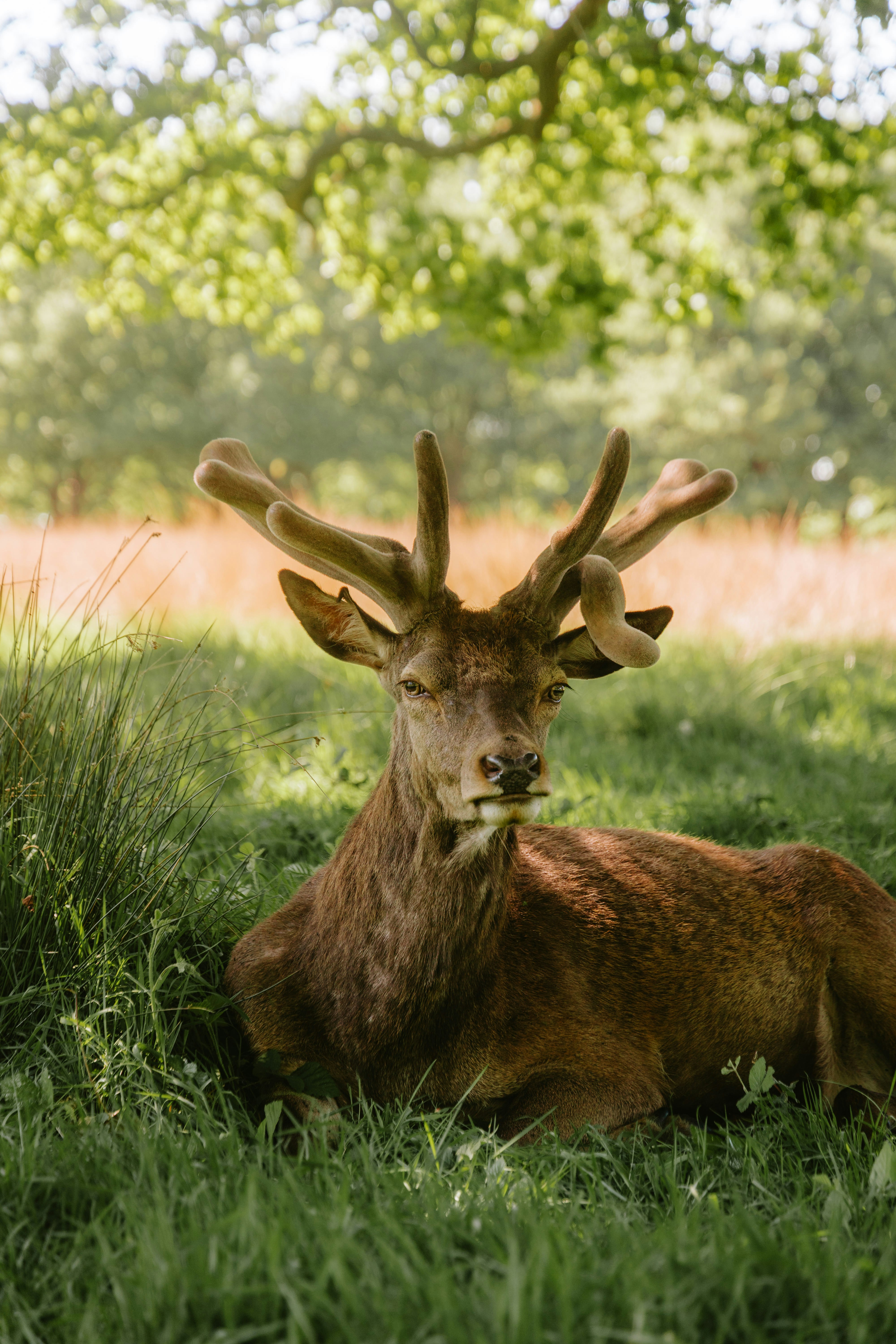 Photo by observationalme