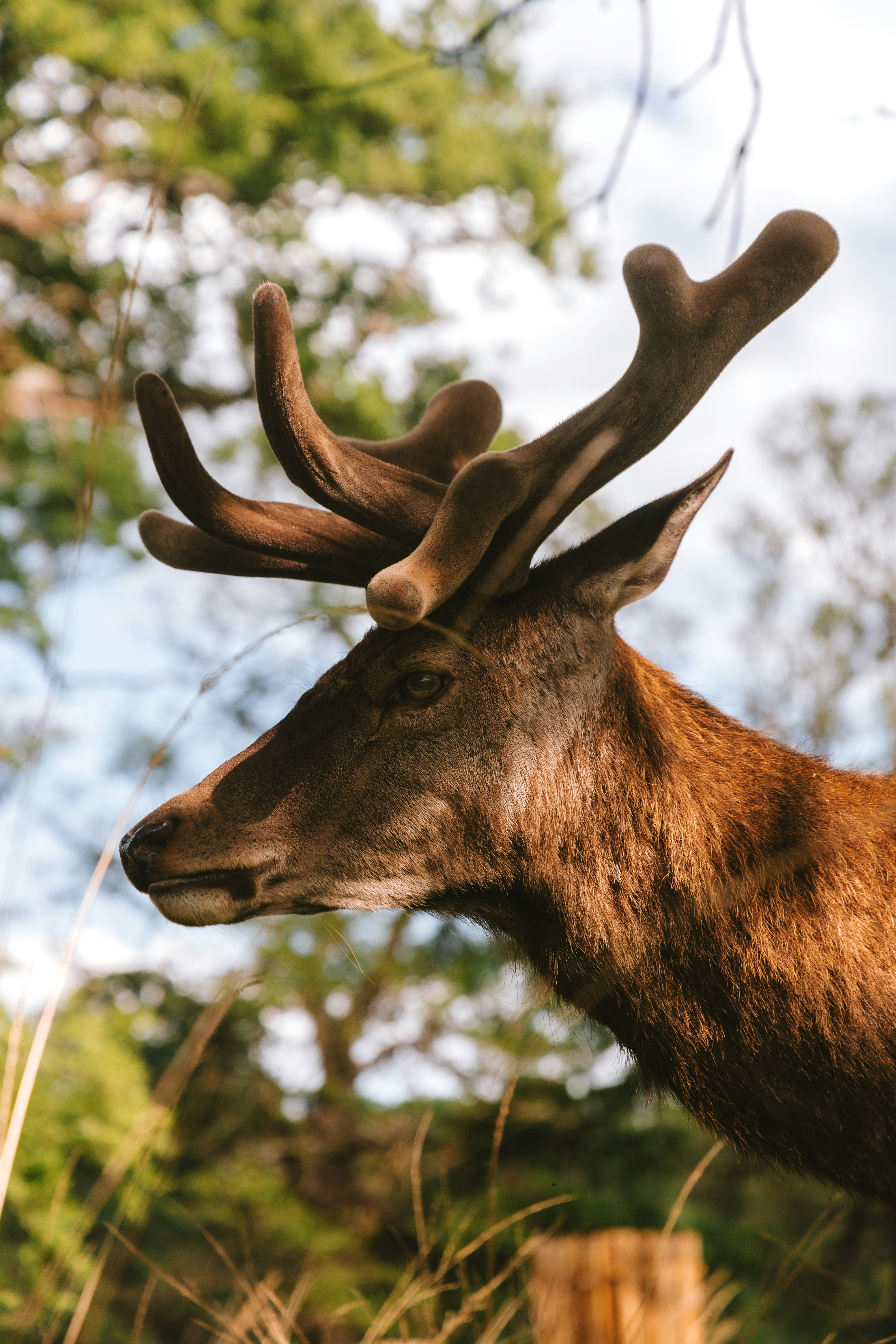 Photo by observationalme