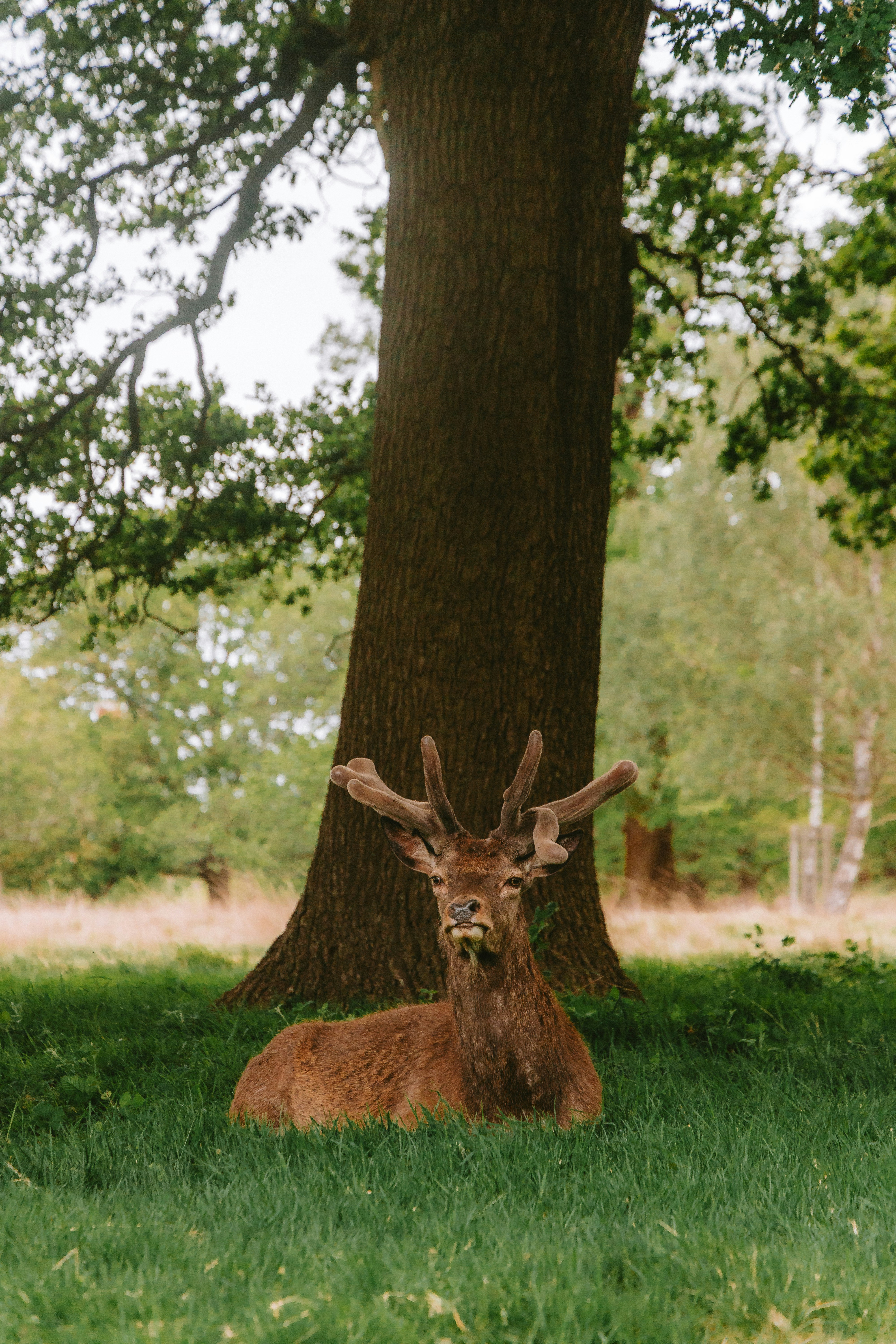 Photo by observationalme