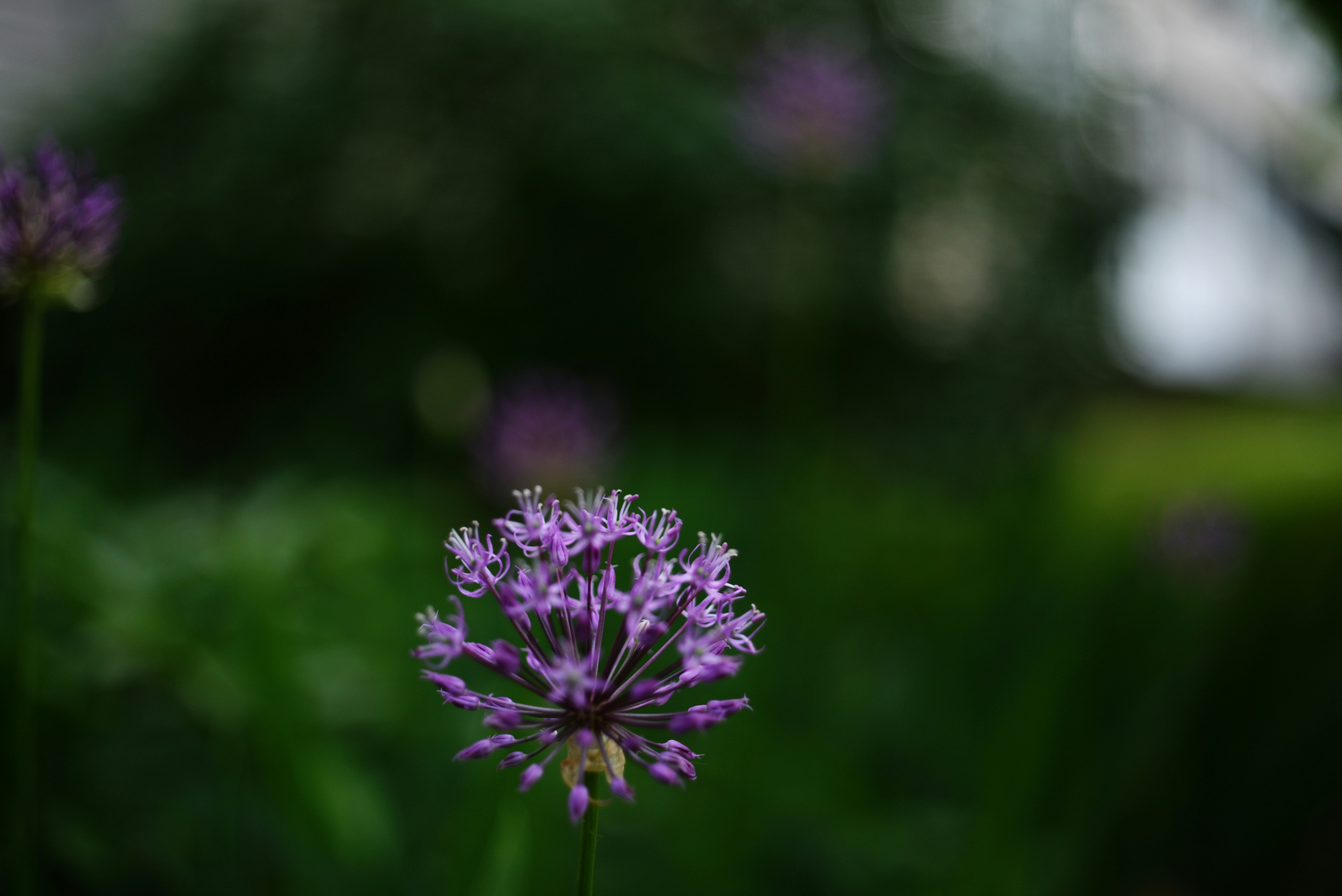 Photo by cherstve_pechivo