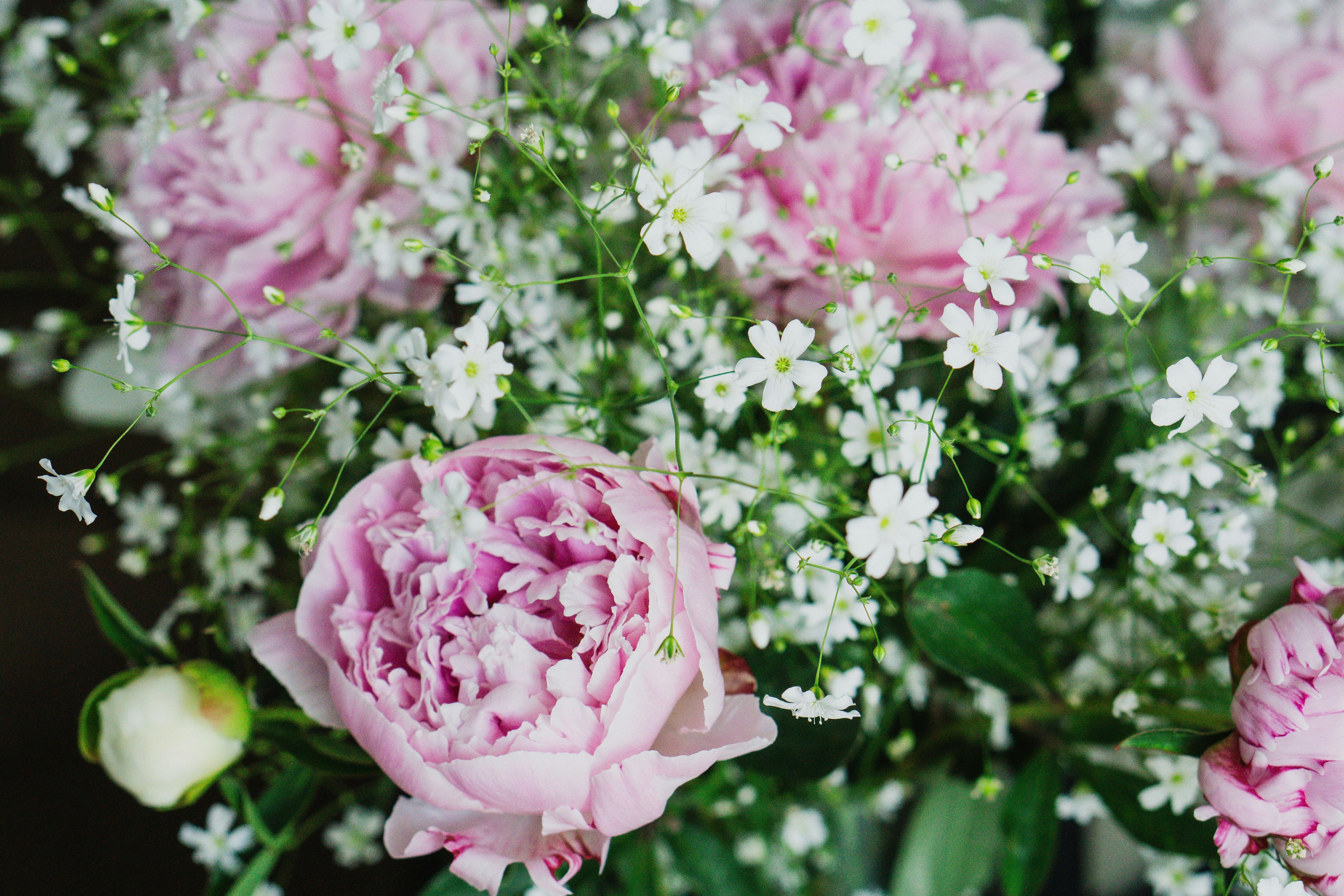 Photo by kateryna_senkevych