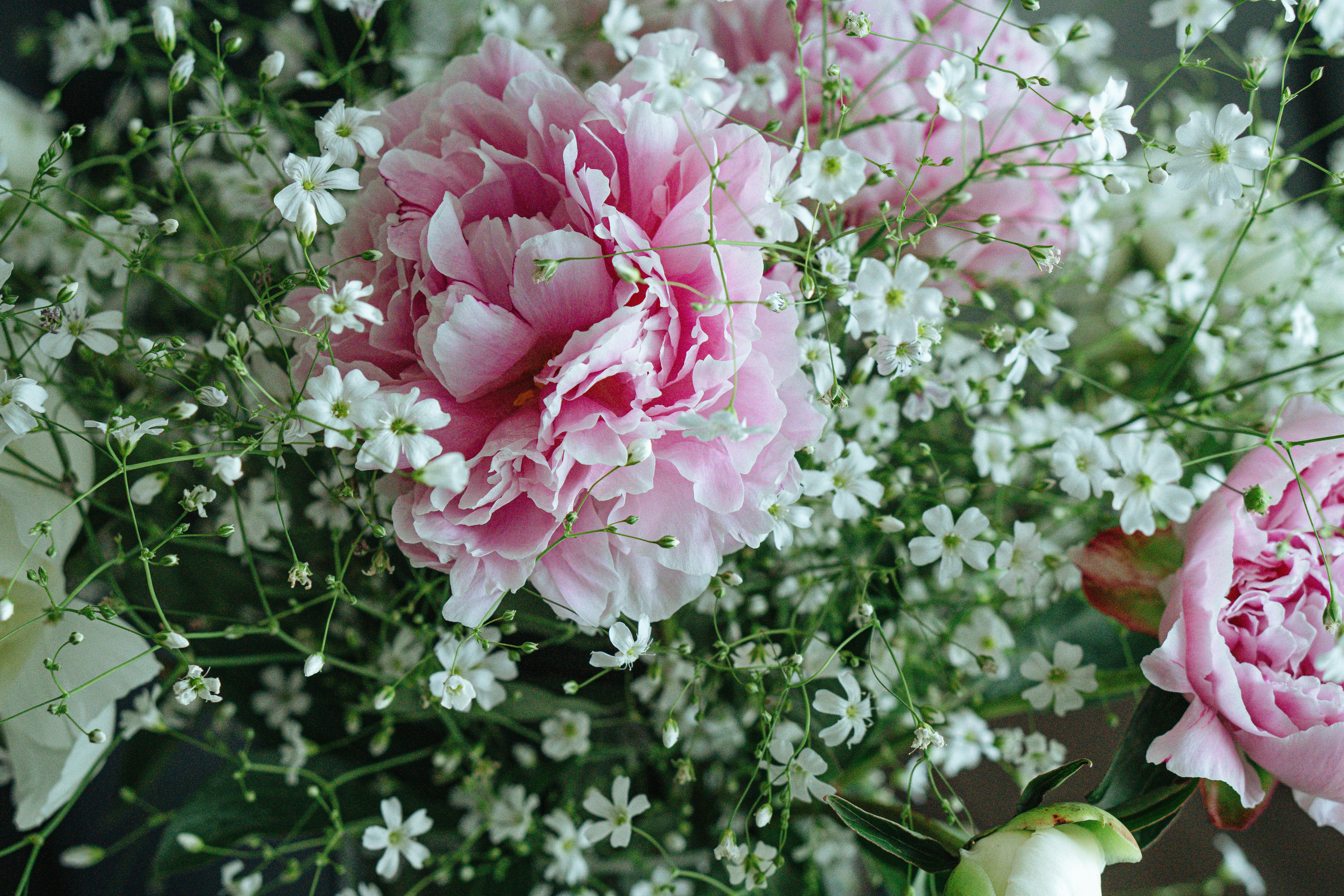 Photo by kateryna_senkevych