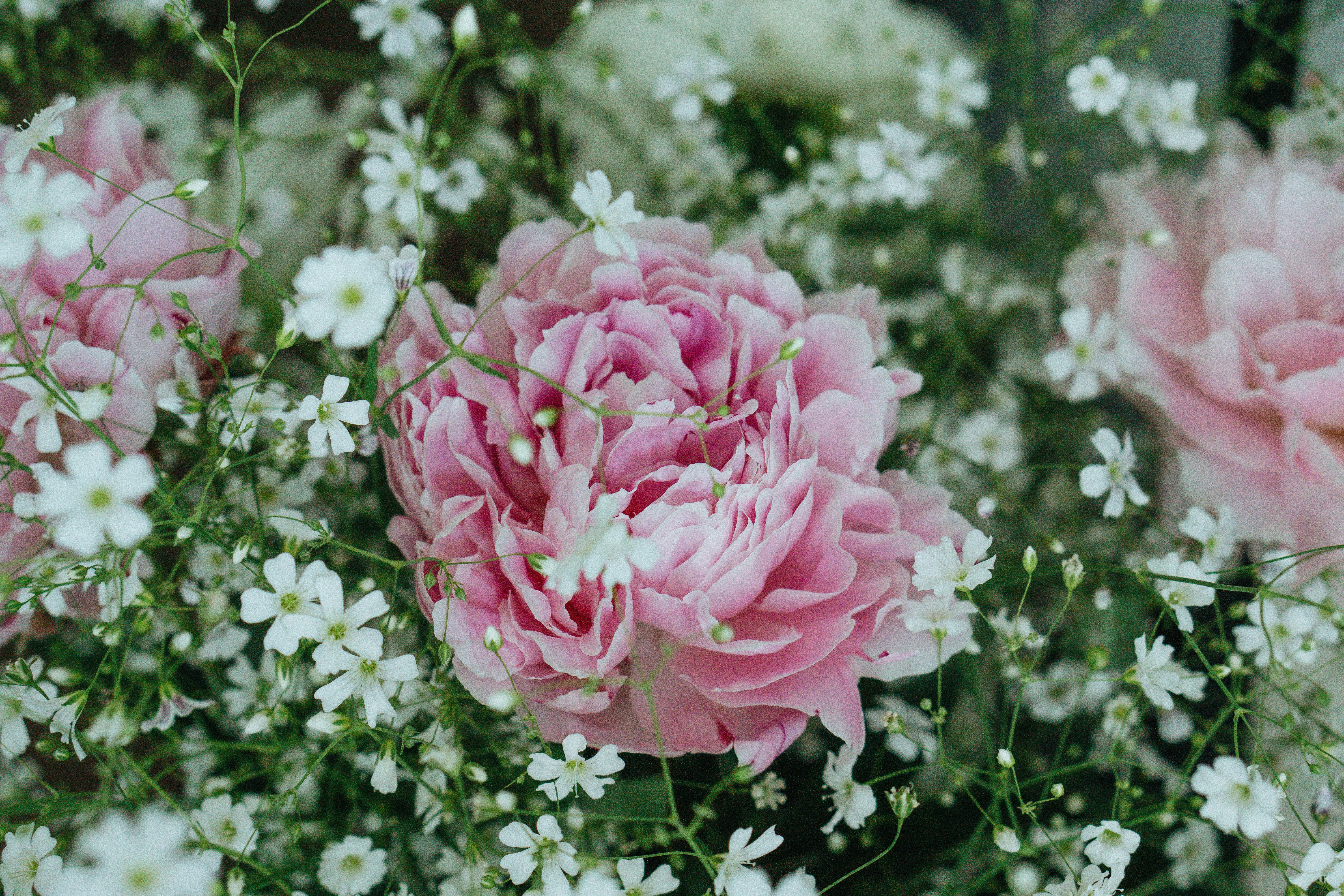 Photo by kateryna_senkevych