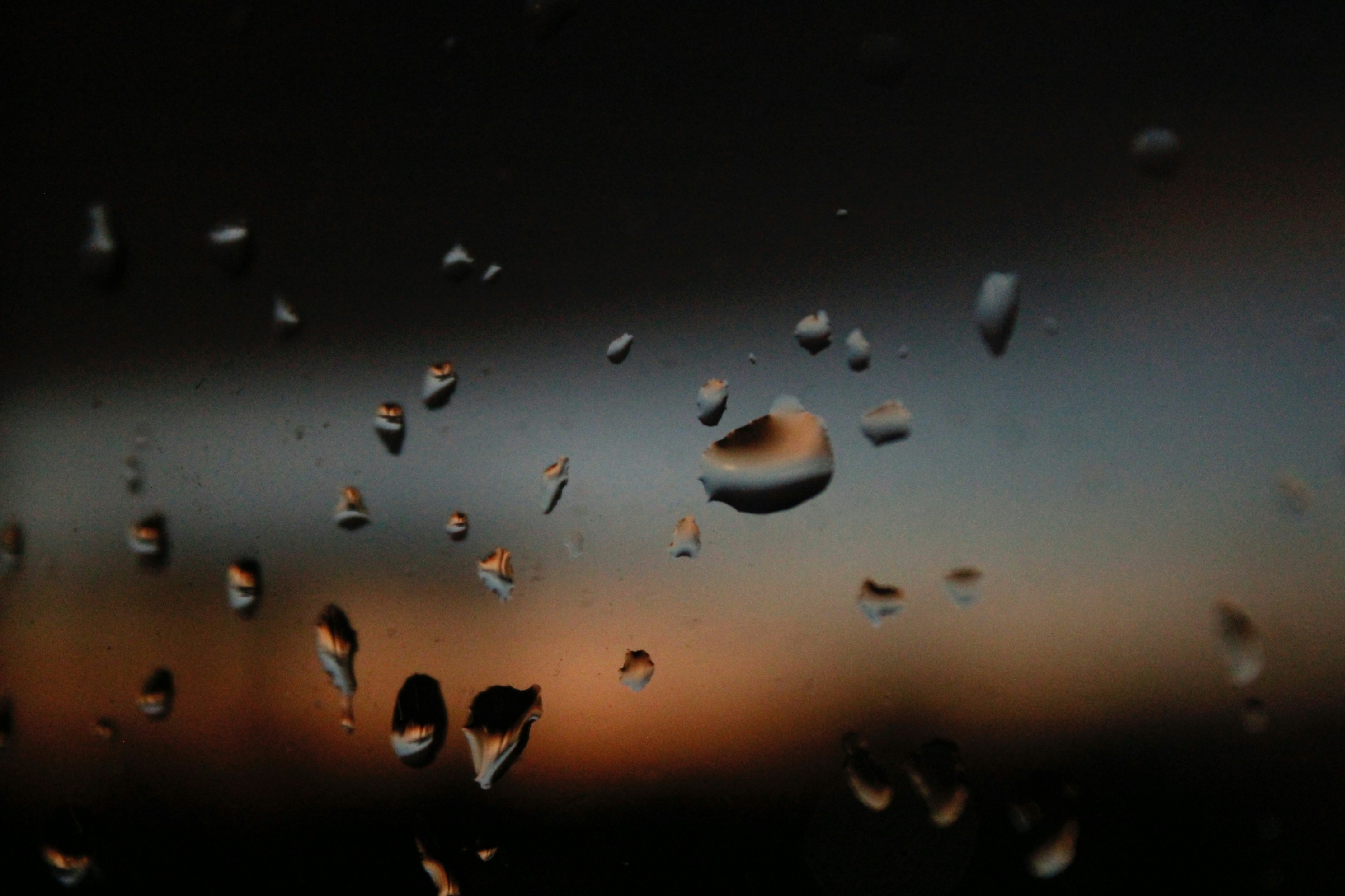 Photo by lisa_duqlaw