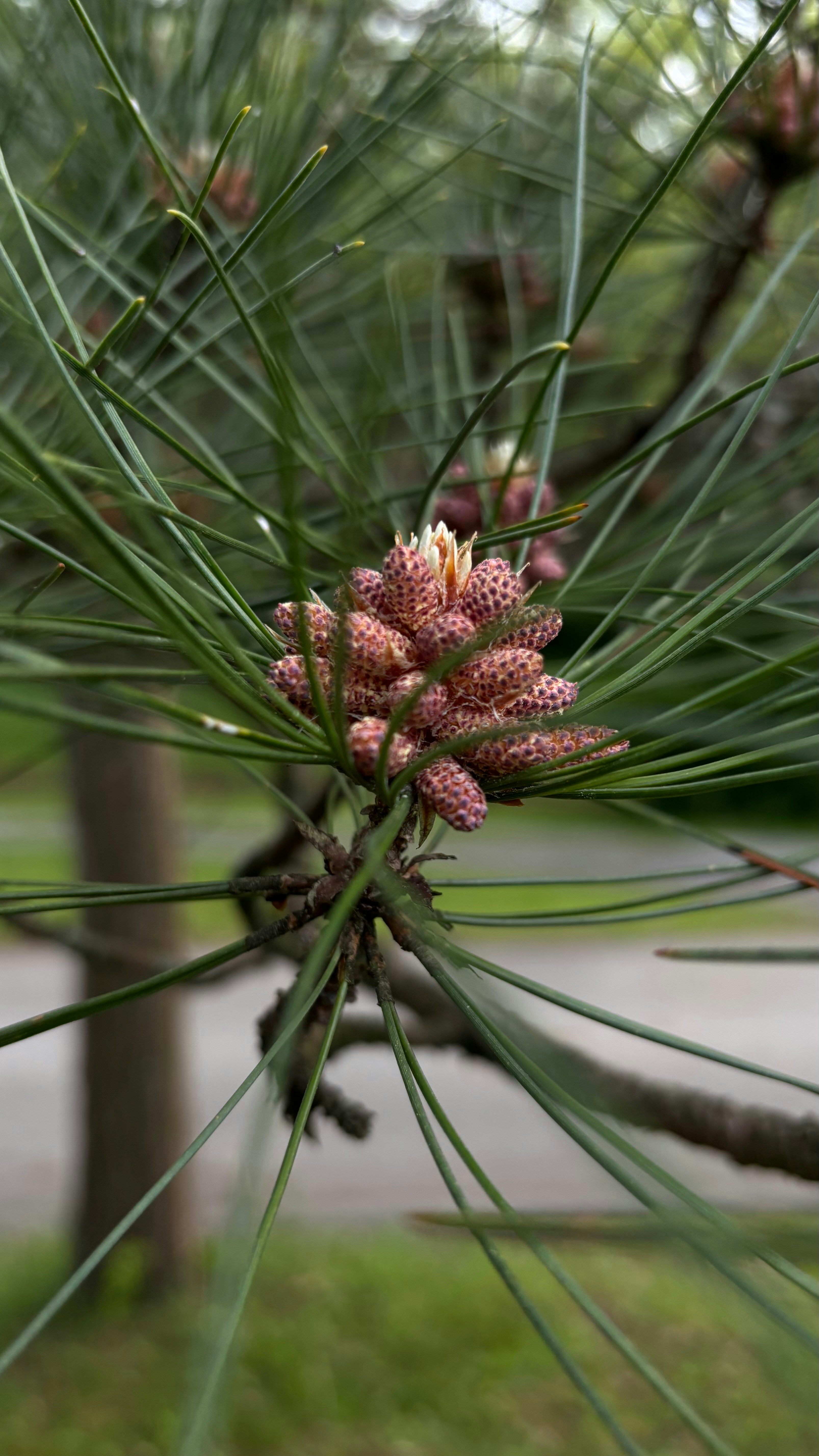 Photo by lisa_duqlaw