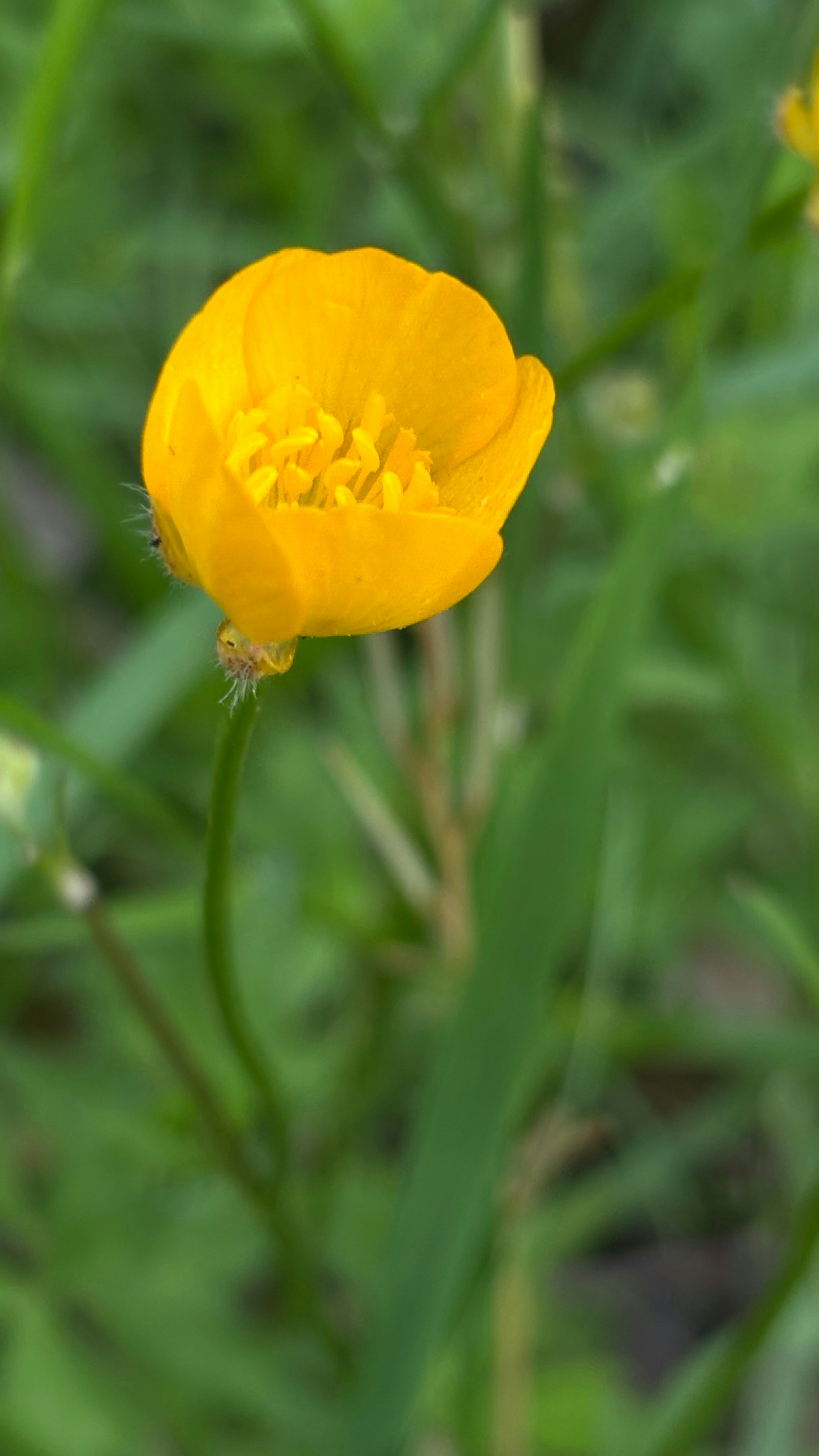 Photo by lisa_duqlaw