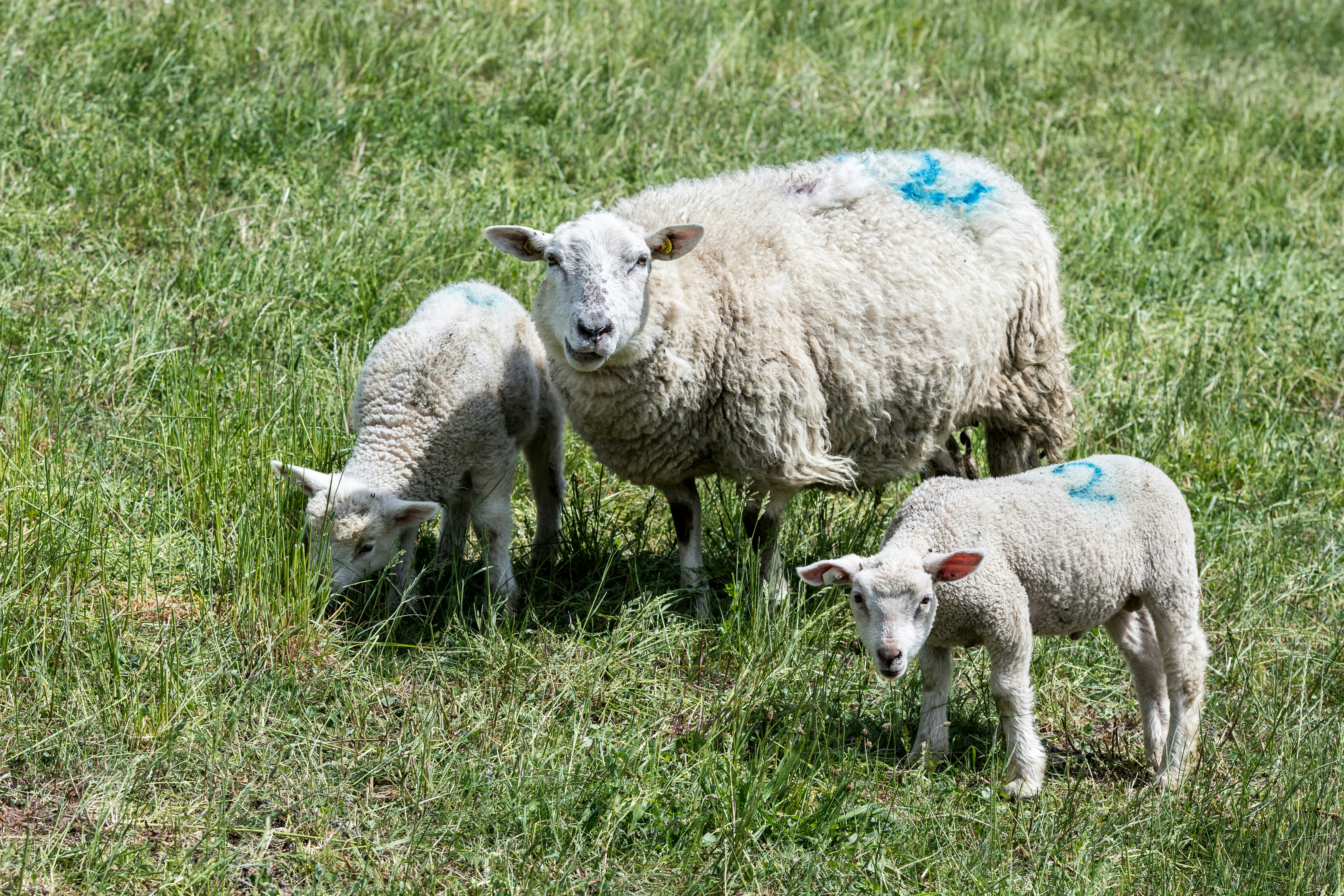 Photo by hamburgmeinefreundin