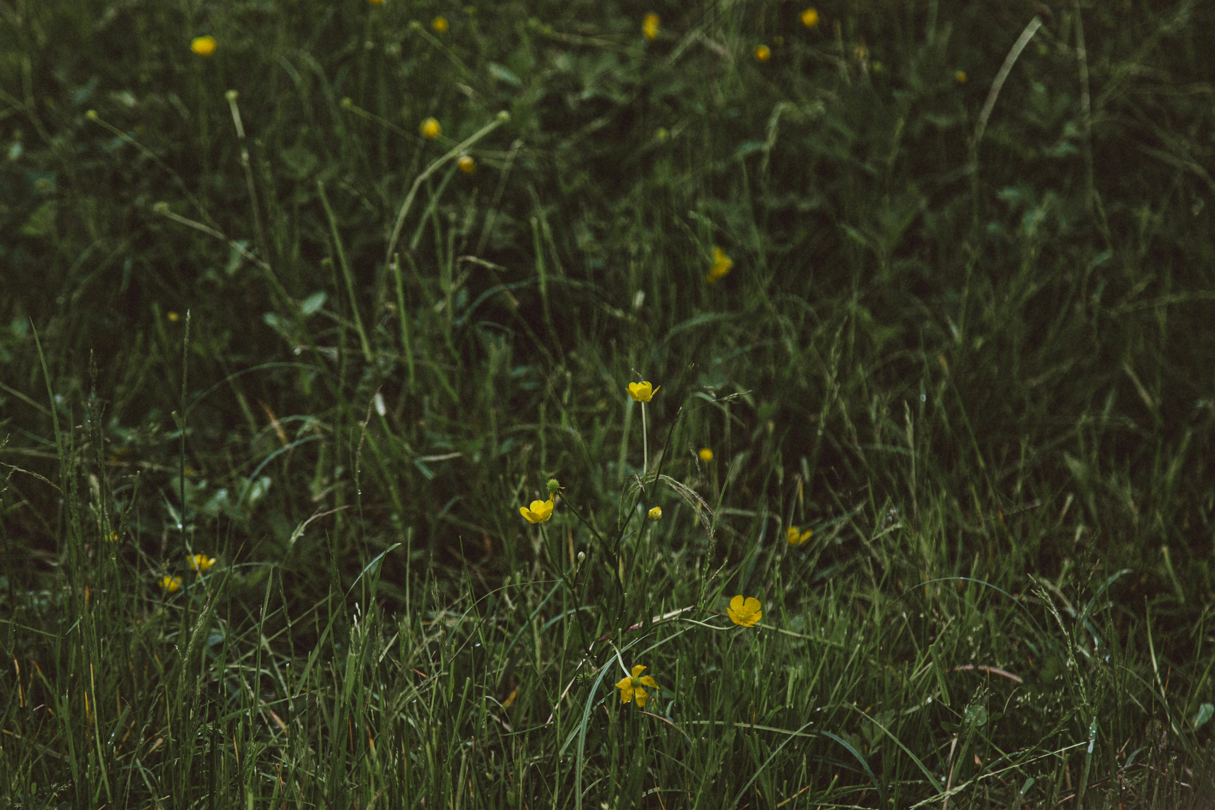 Photo by i_am_simoesse