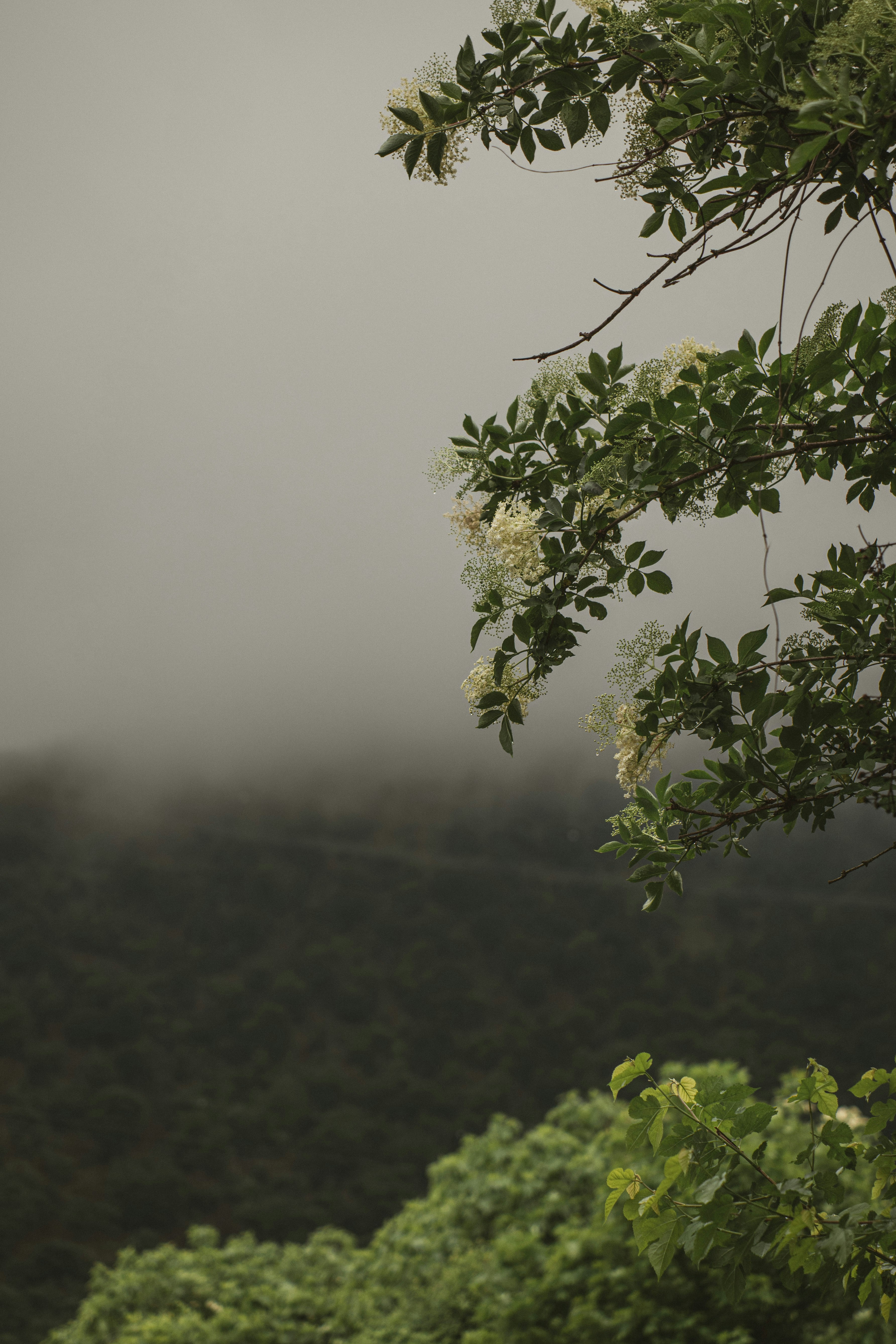 Photo by i_am_simoesse