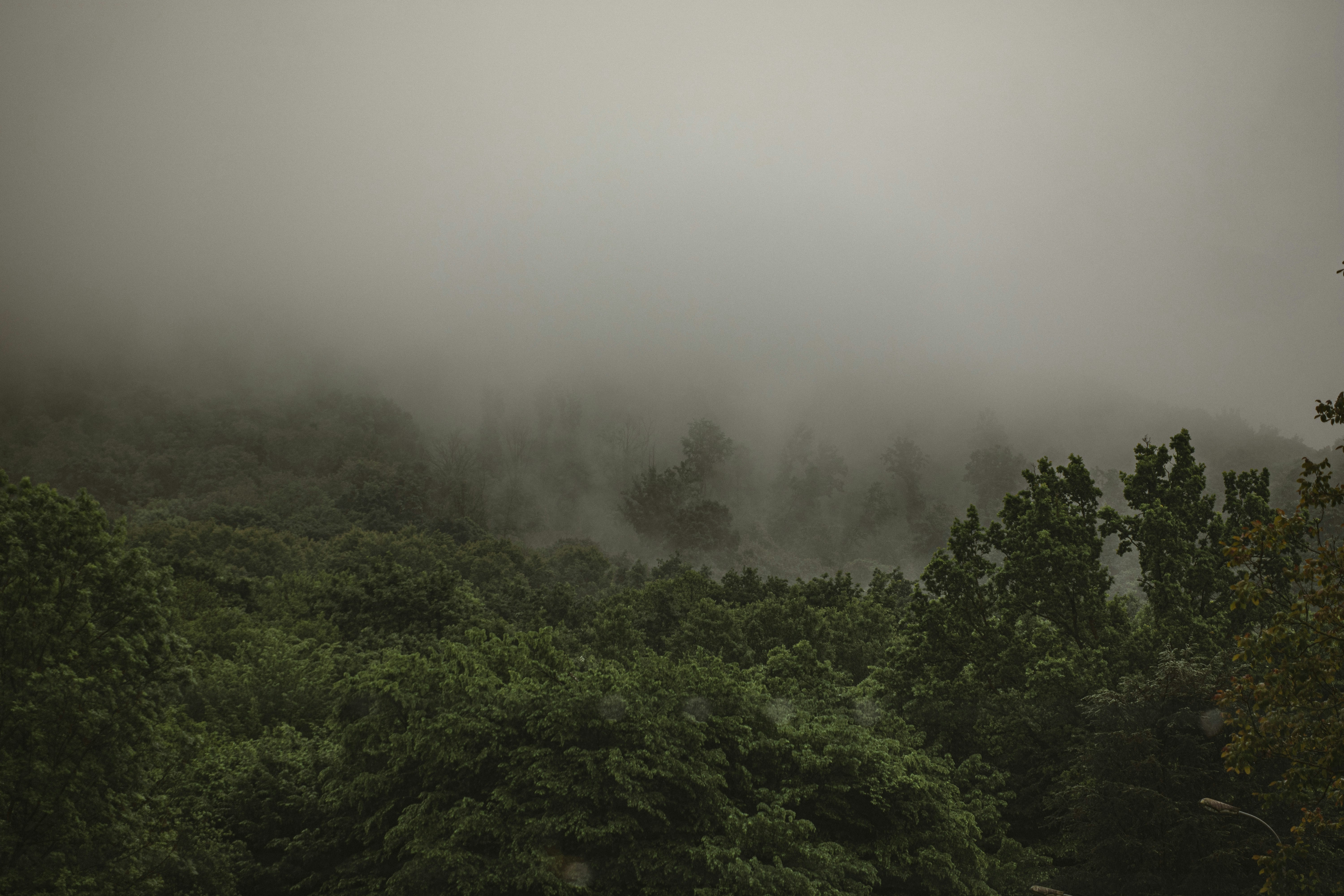 Photo by i_am_simoesse