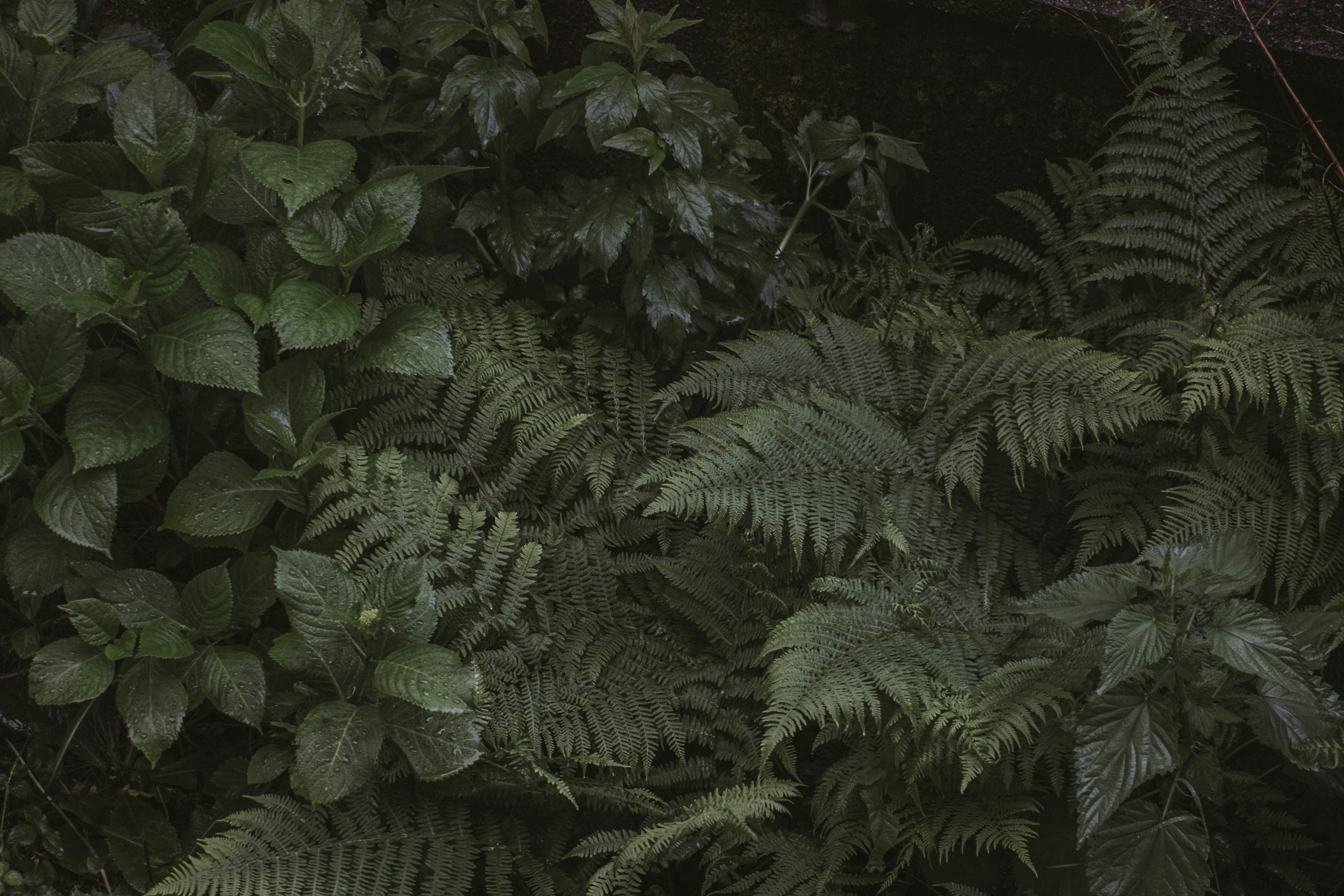 Photo by i_am_simoesse