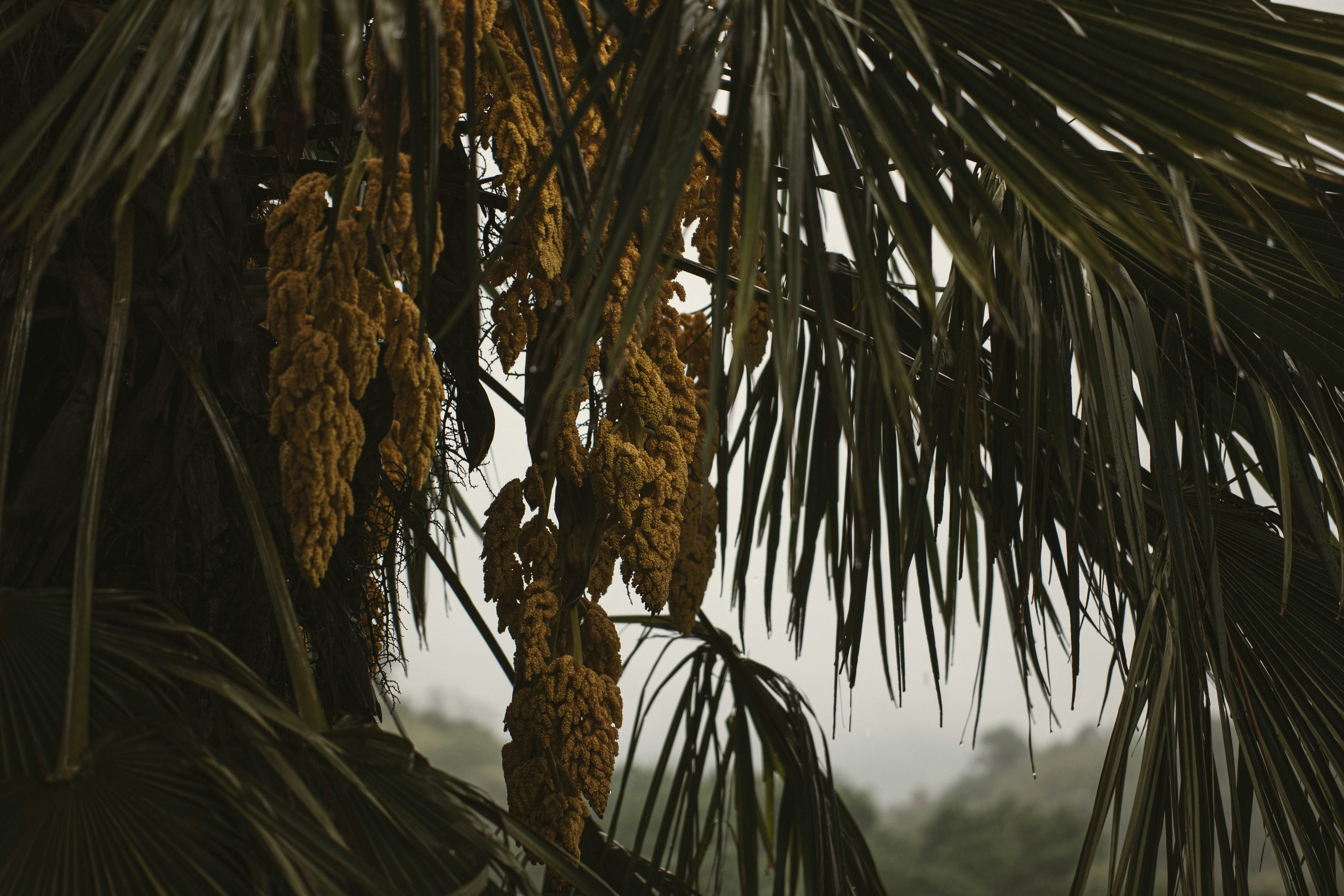 Photo by i_am_simoesse